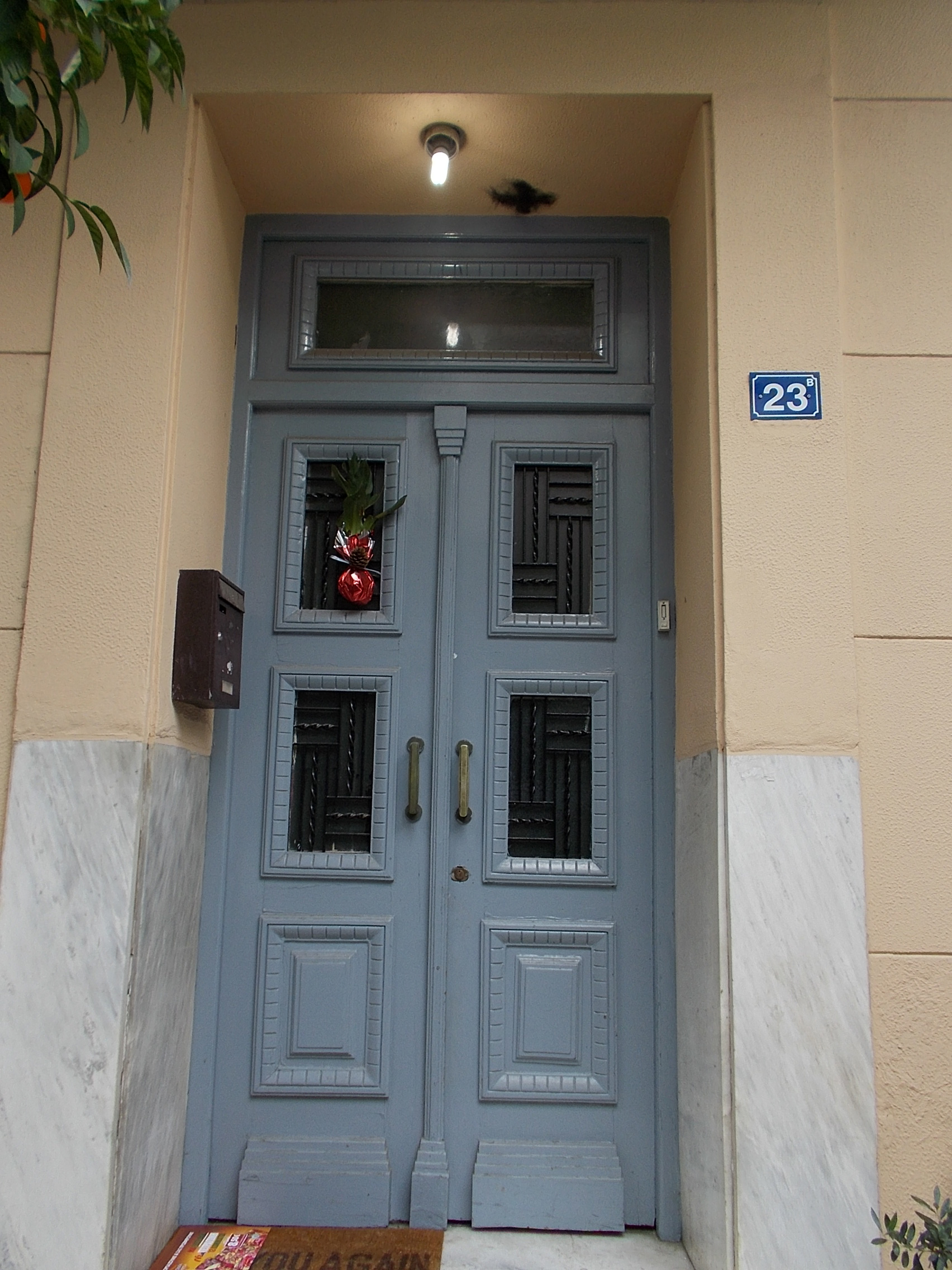 Γενική κεντρικής εισόδου