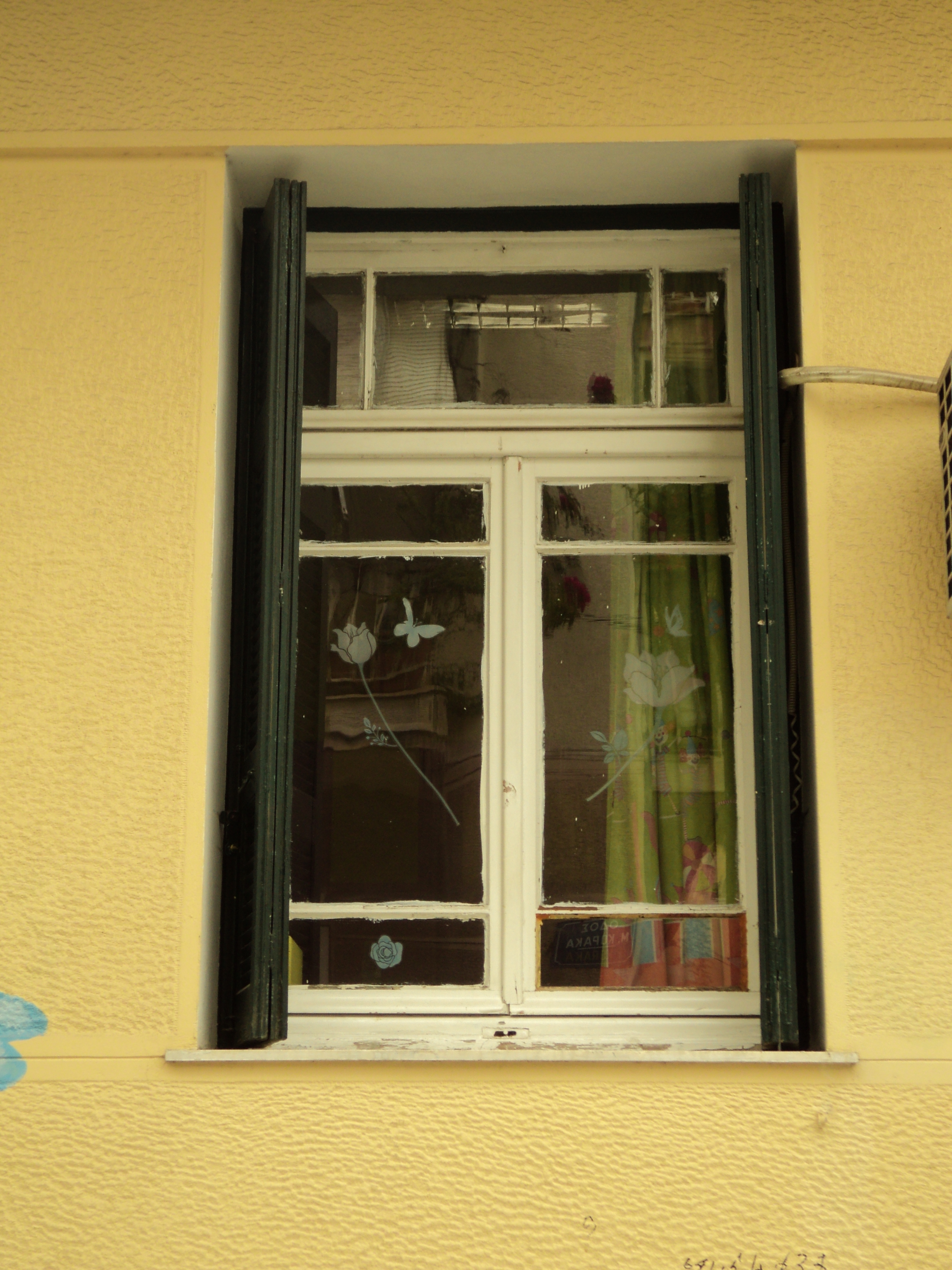 Window