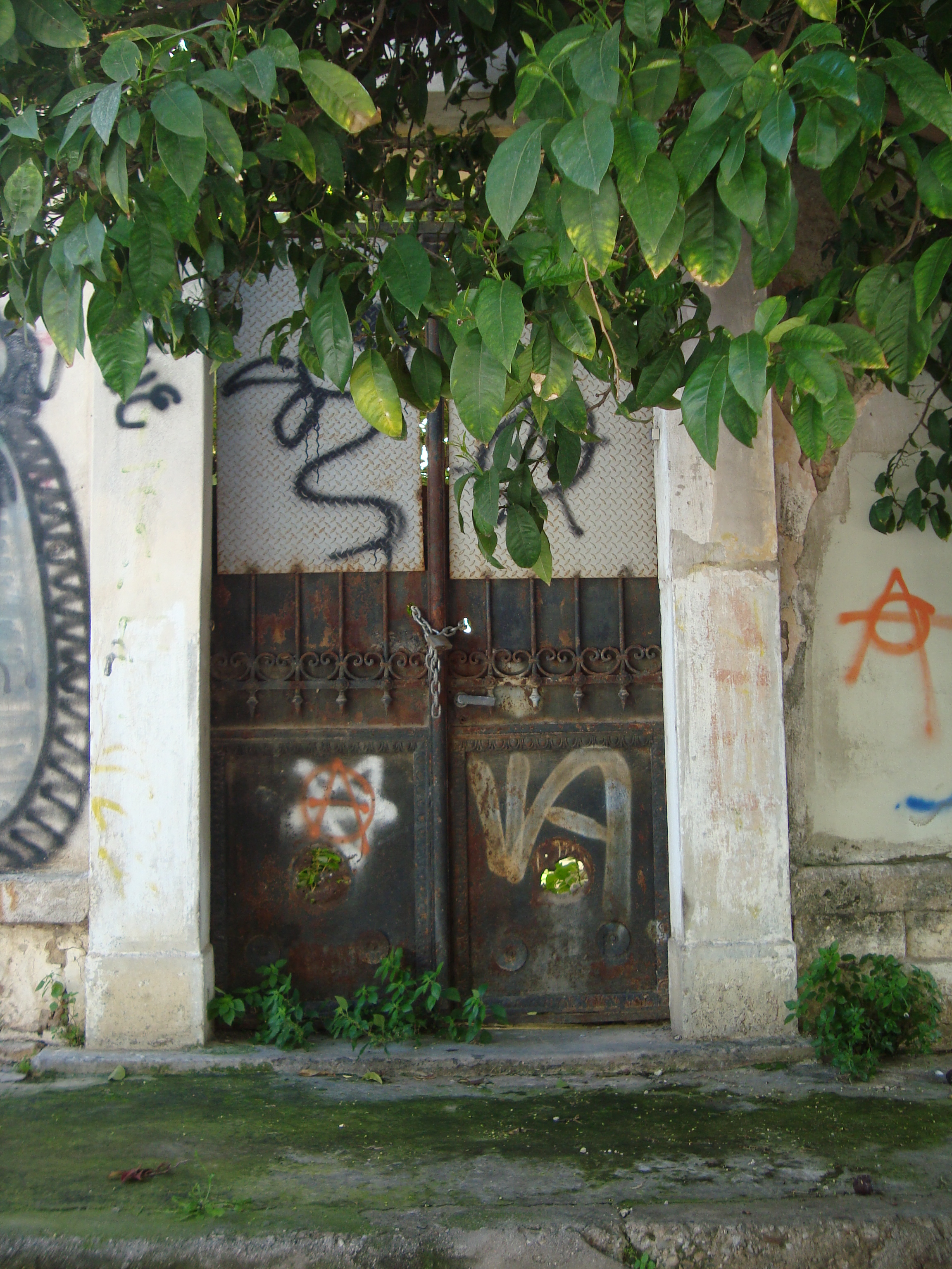 Γενική αυλόθυρας
