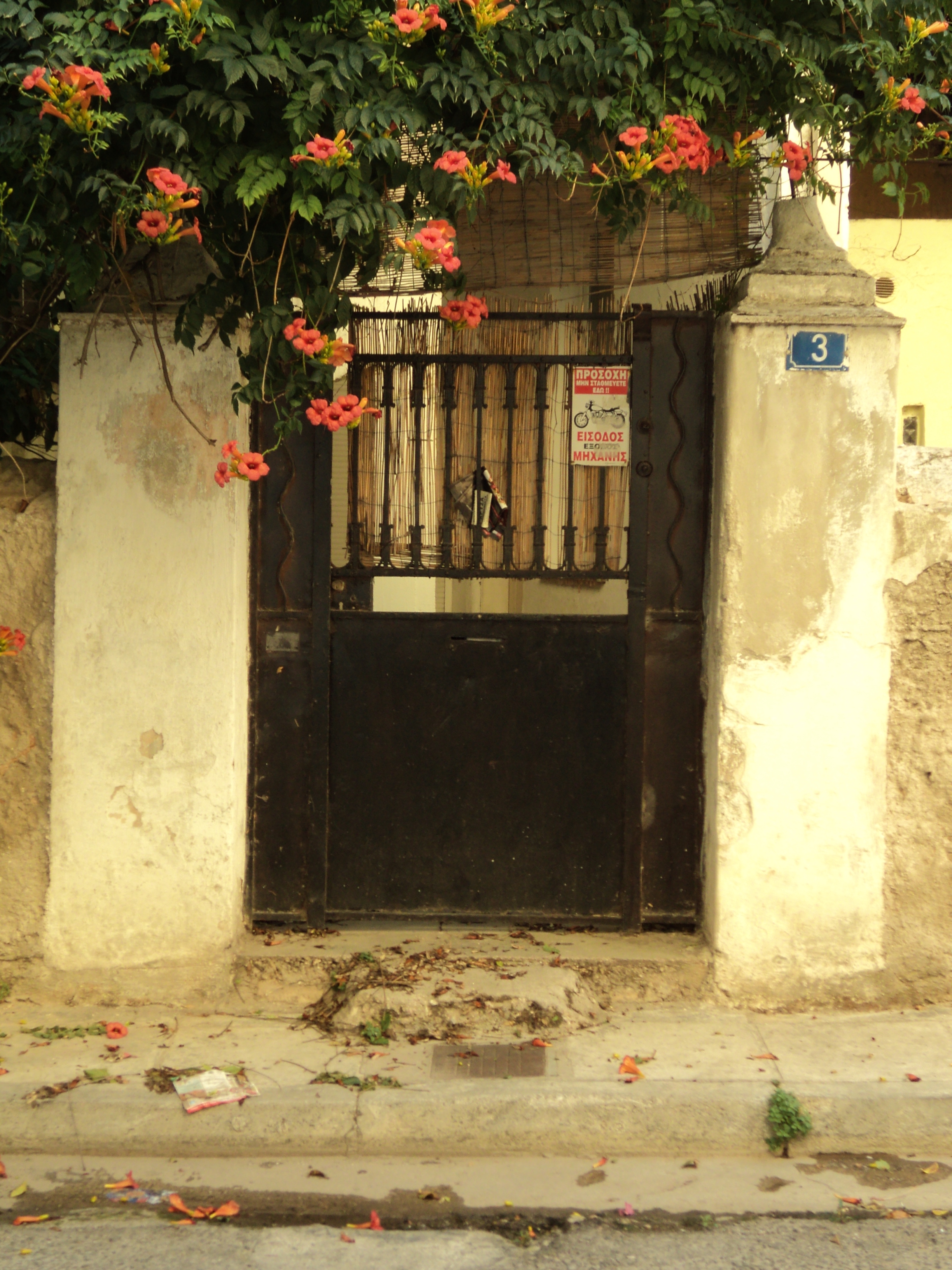 Courtyard gate on Volou Street (2016)