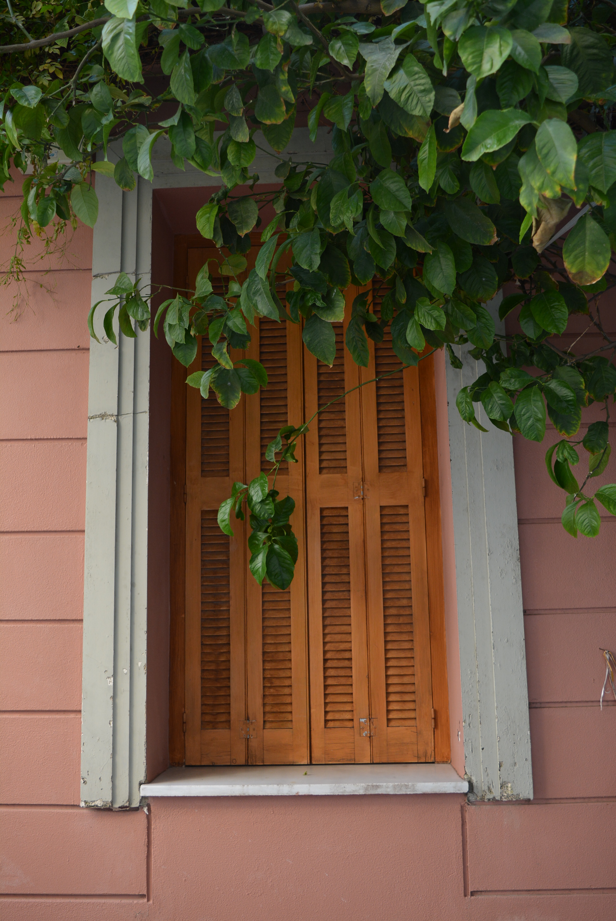 General view of the window