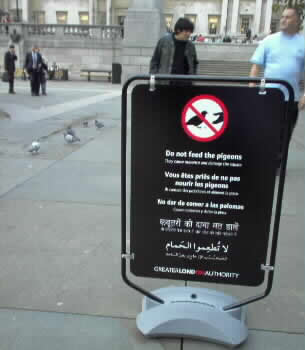 Πινακίδα στην πλατεία Τραφάλγκαρ του Λονδίνου απαγορεύει το τάισμα των περιστεριών