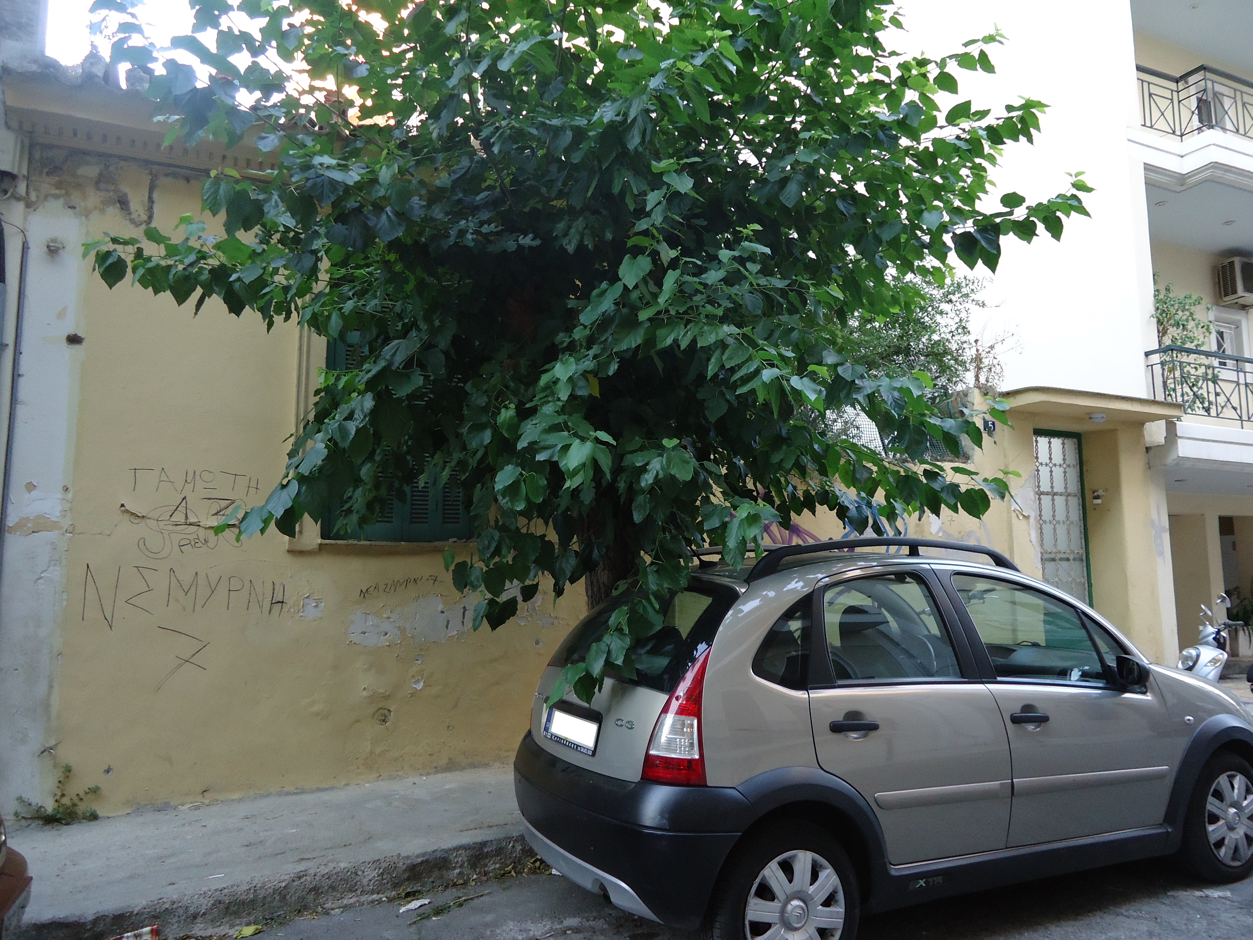 Γενική κύριας όψης