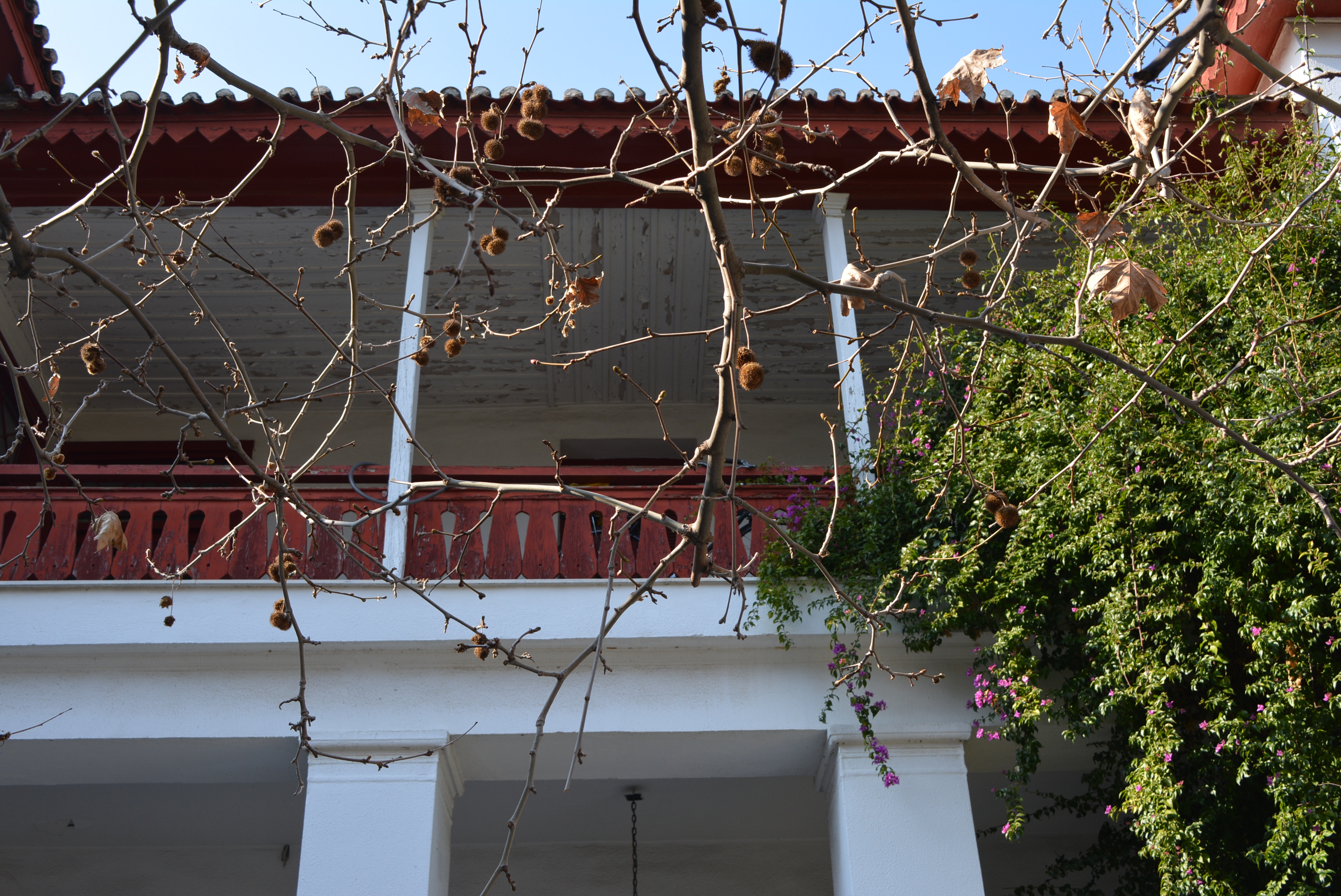 Λεπτομέρεια κύριας όψης