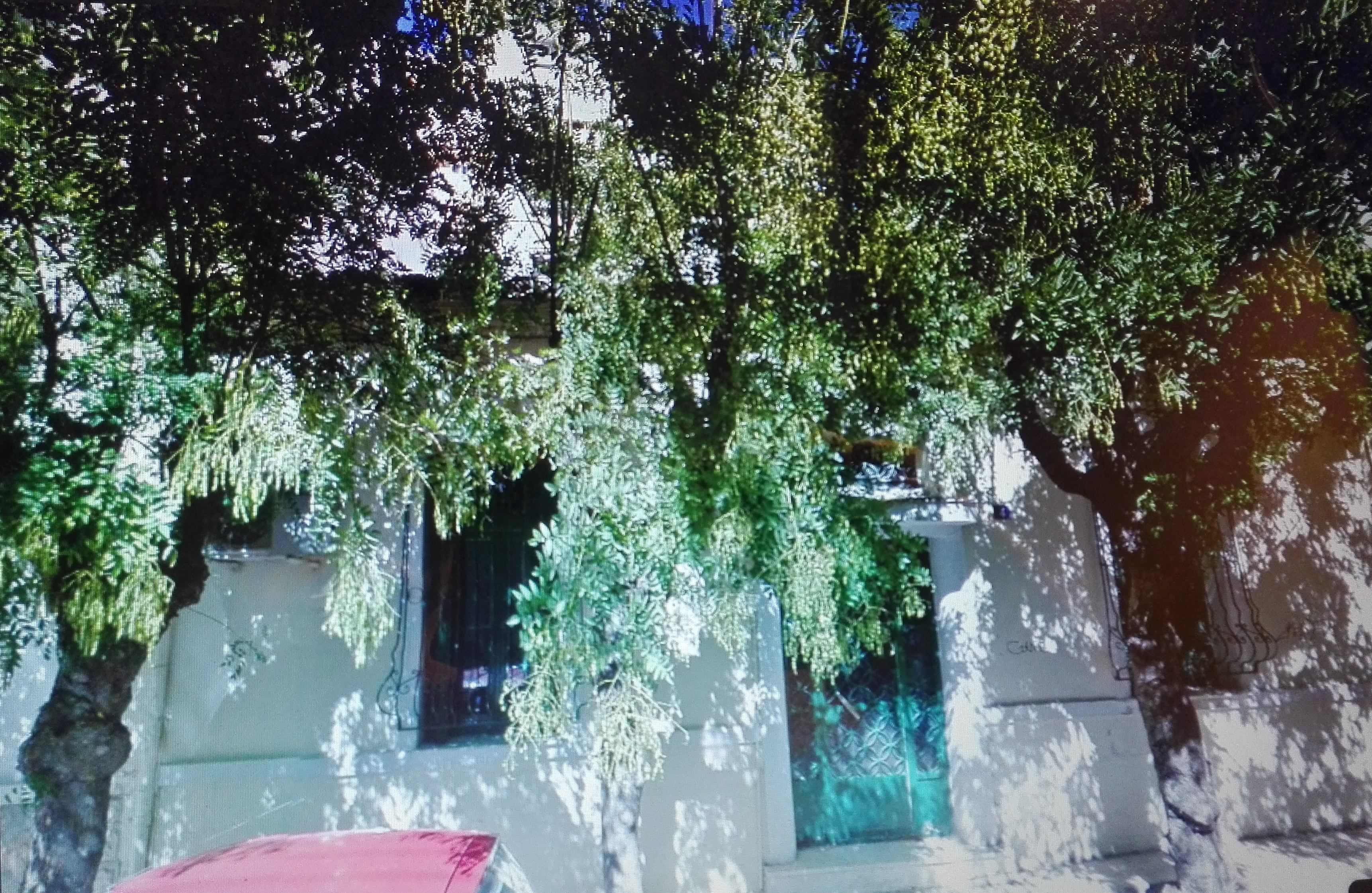 Γενική κύριας όψης
