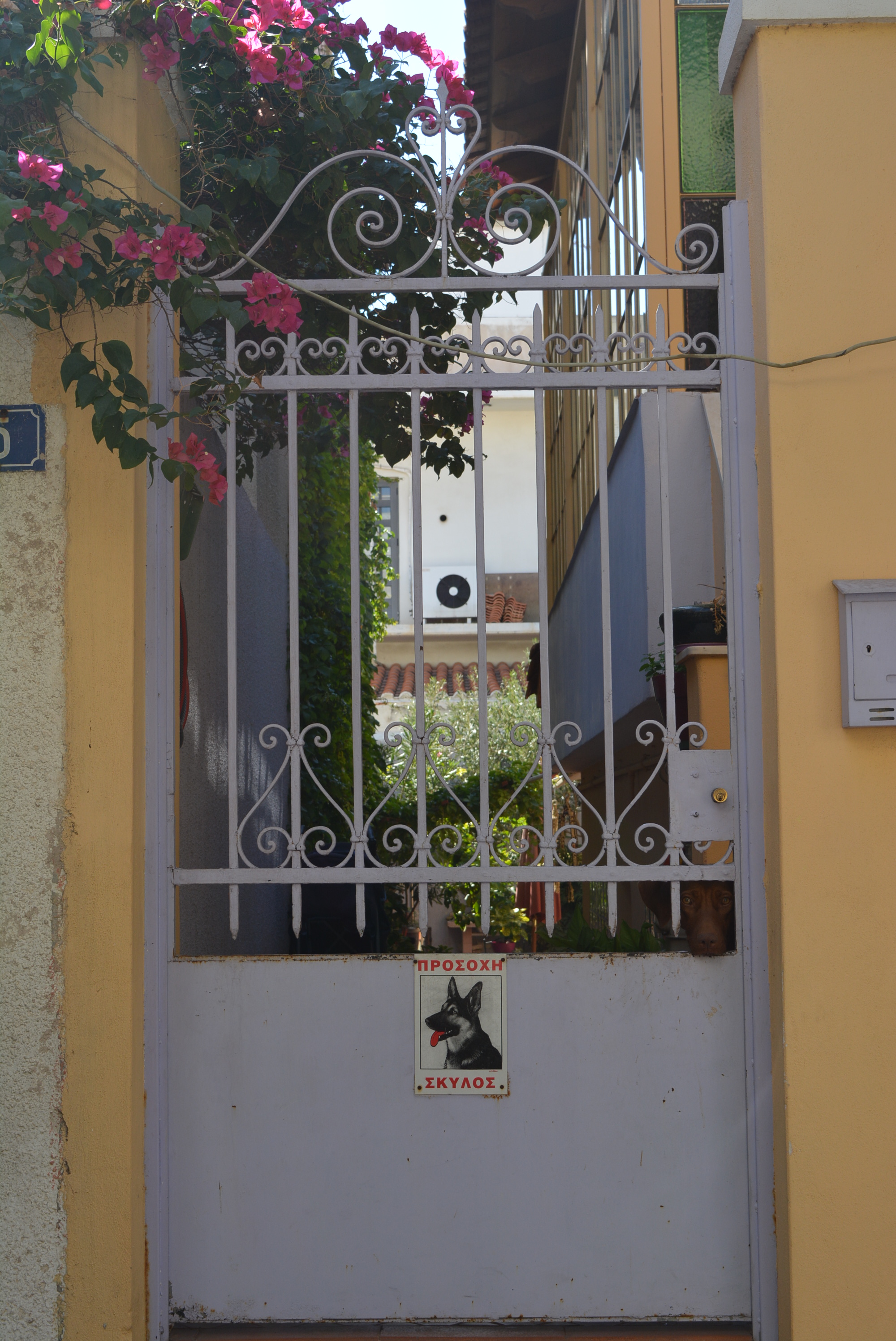 Γενική αυλόθυρας