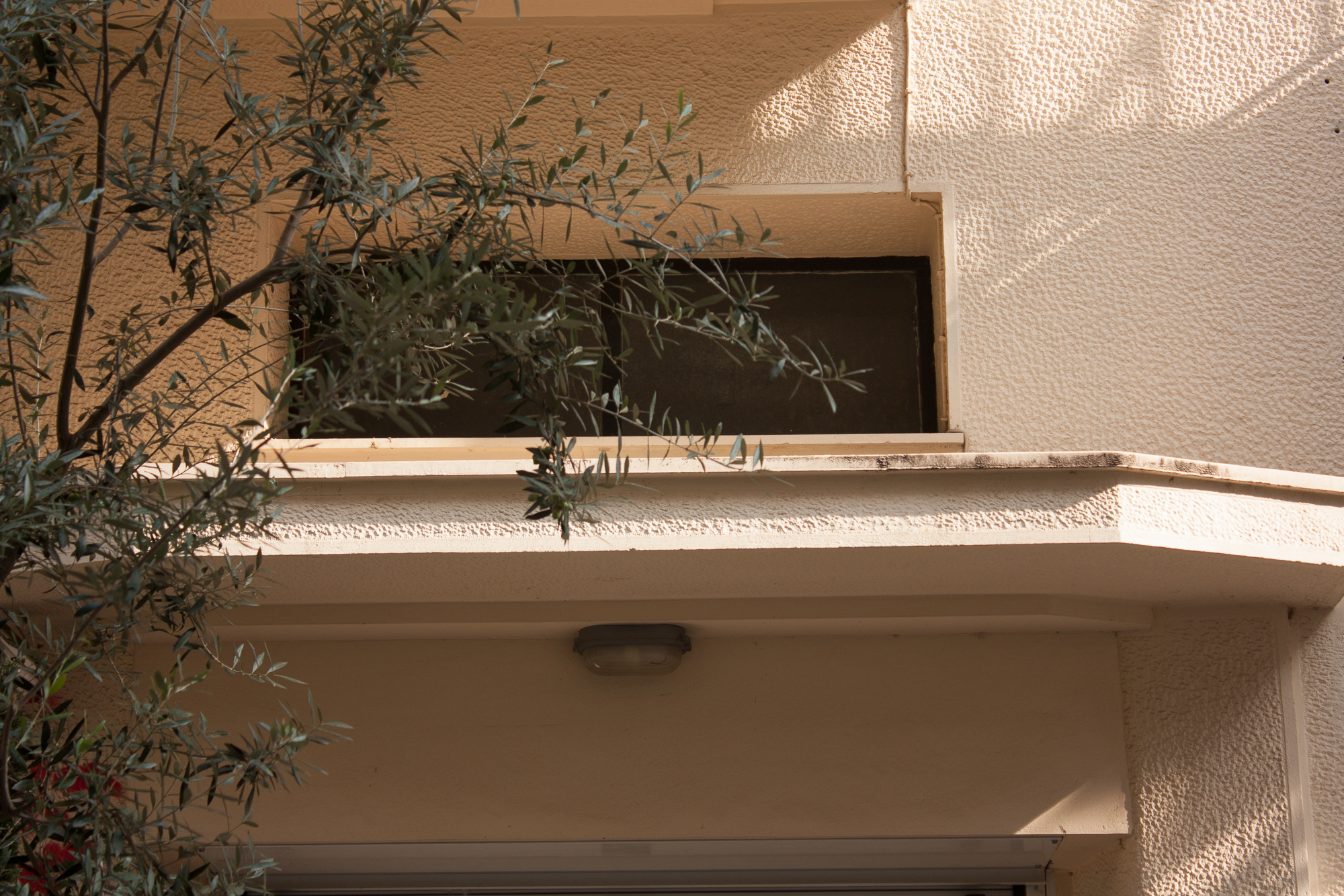 Λεπτομέρεια κεντρικής εισόδου