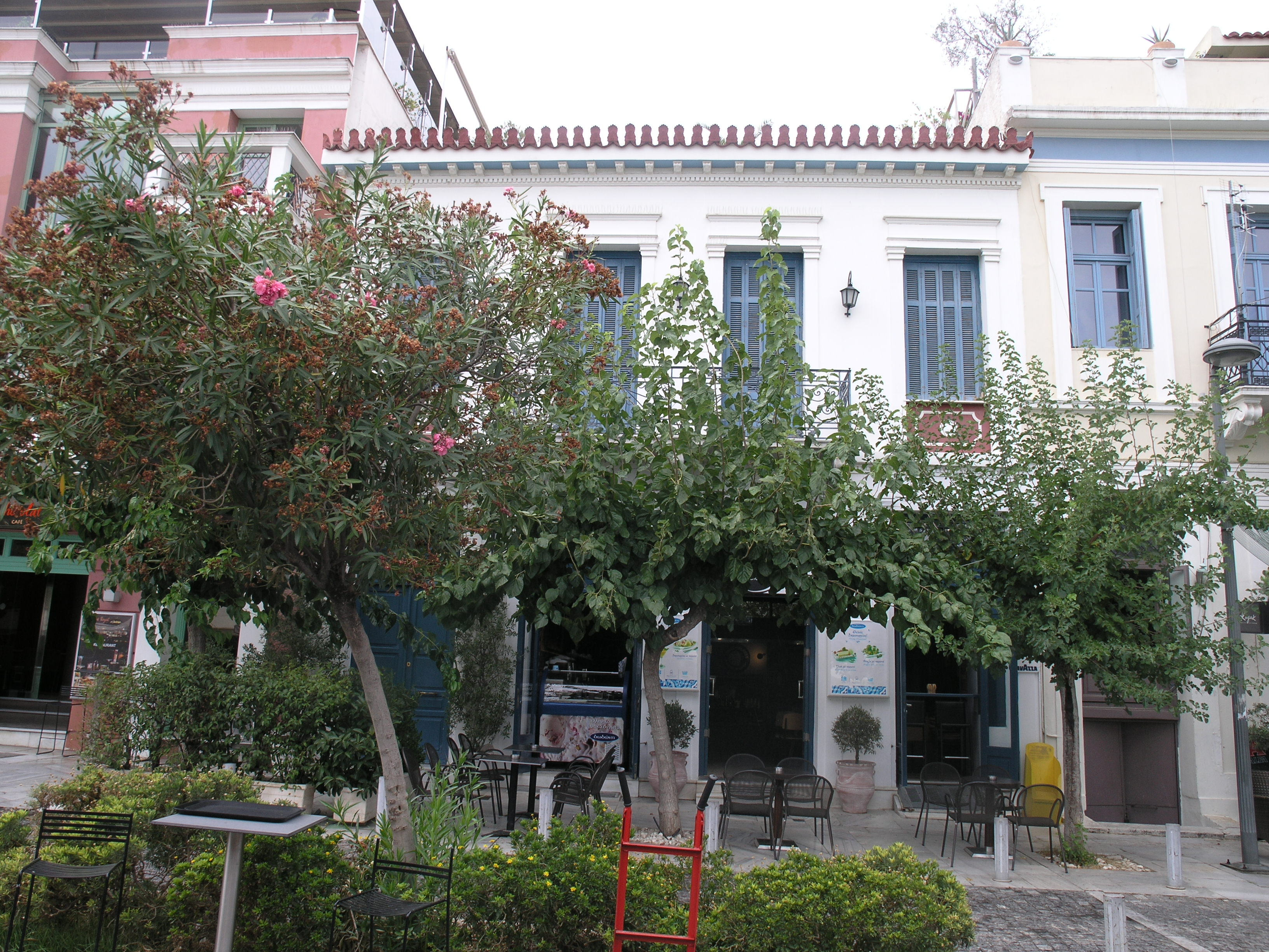 Γενική κύριας όψης