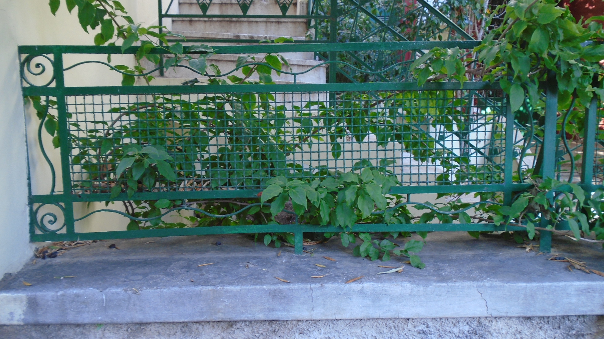 Detail of railing (2017)