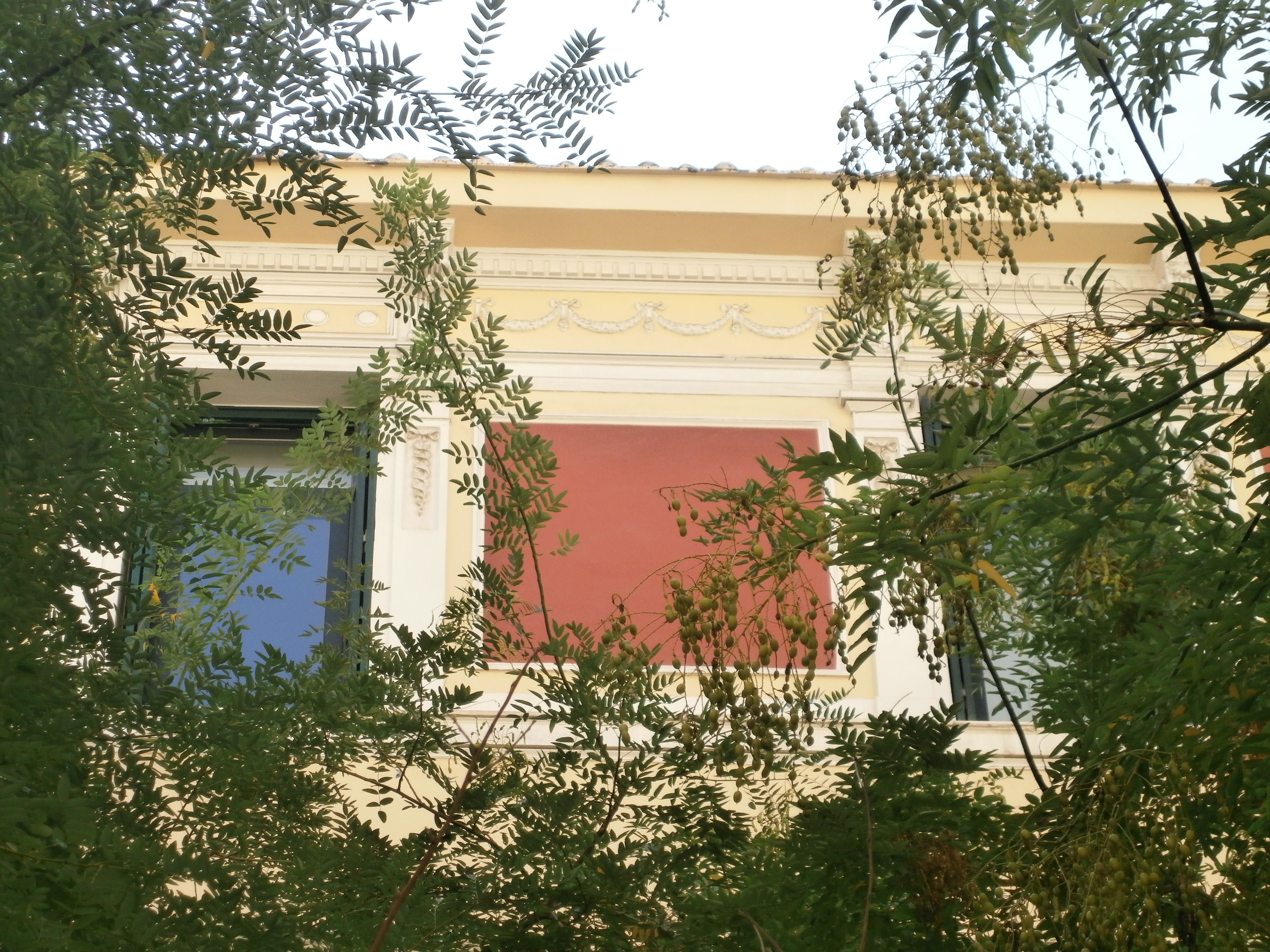 Λεπτομέρεια κύριας όψης