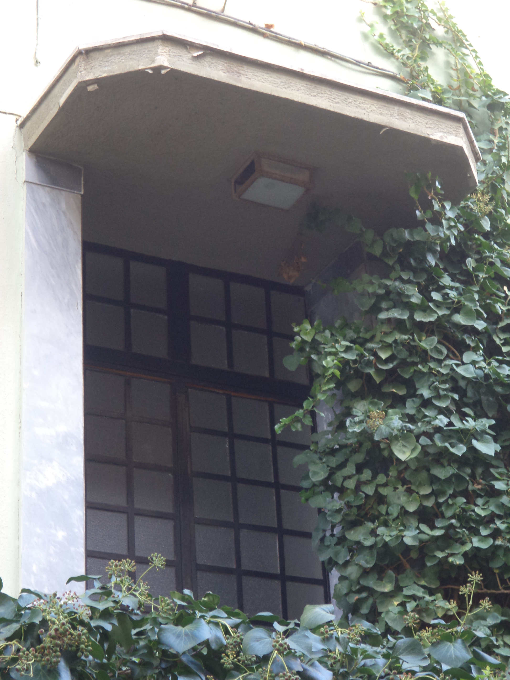Λεπτομέρεια κεντρικής εισόδου