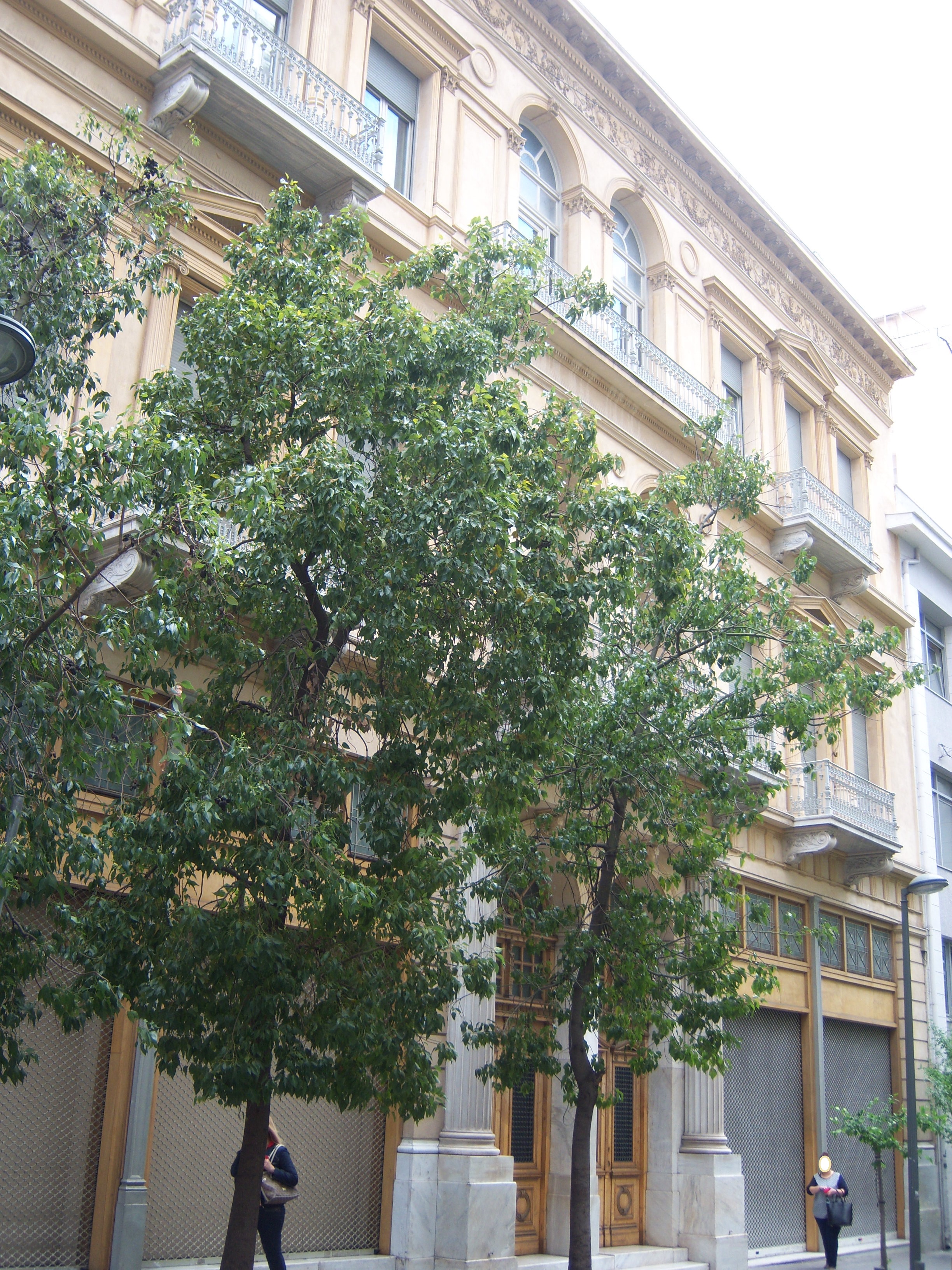 General view on Mitropoleos street