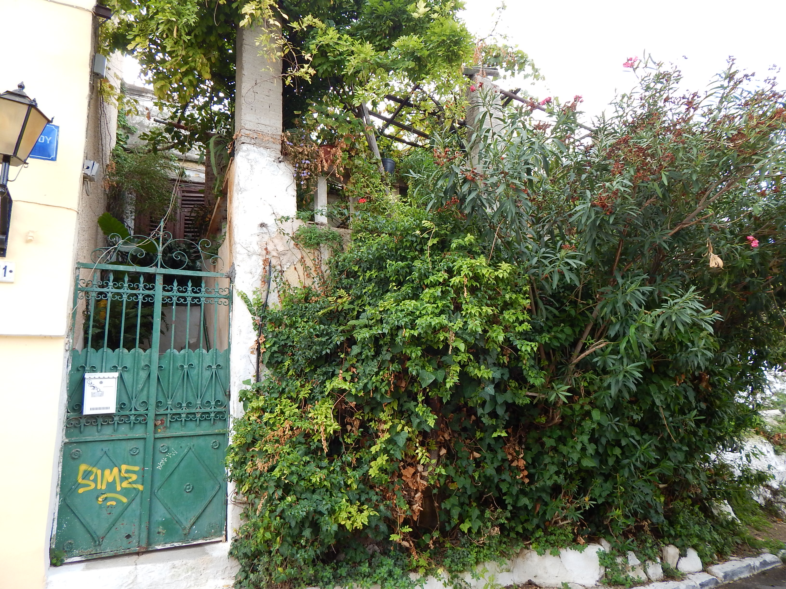 Γενική κύριας όψης