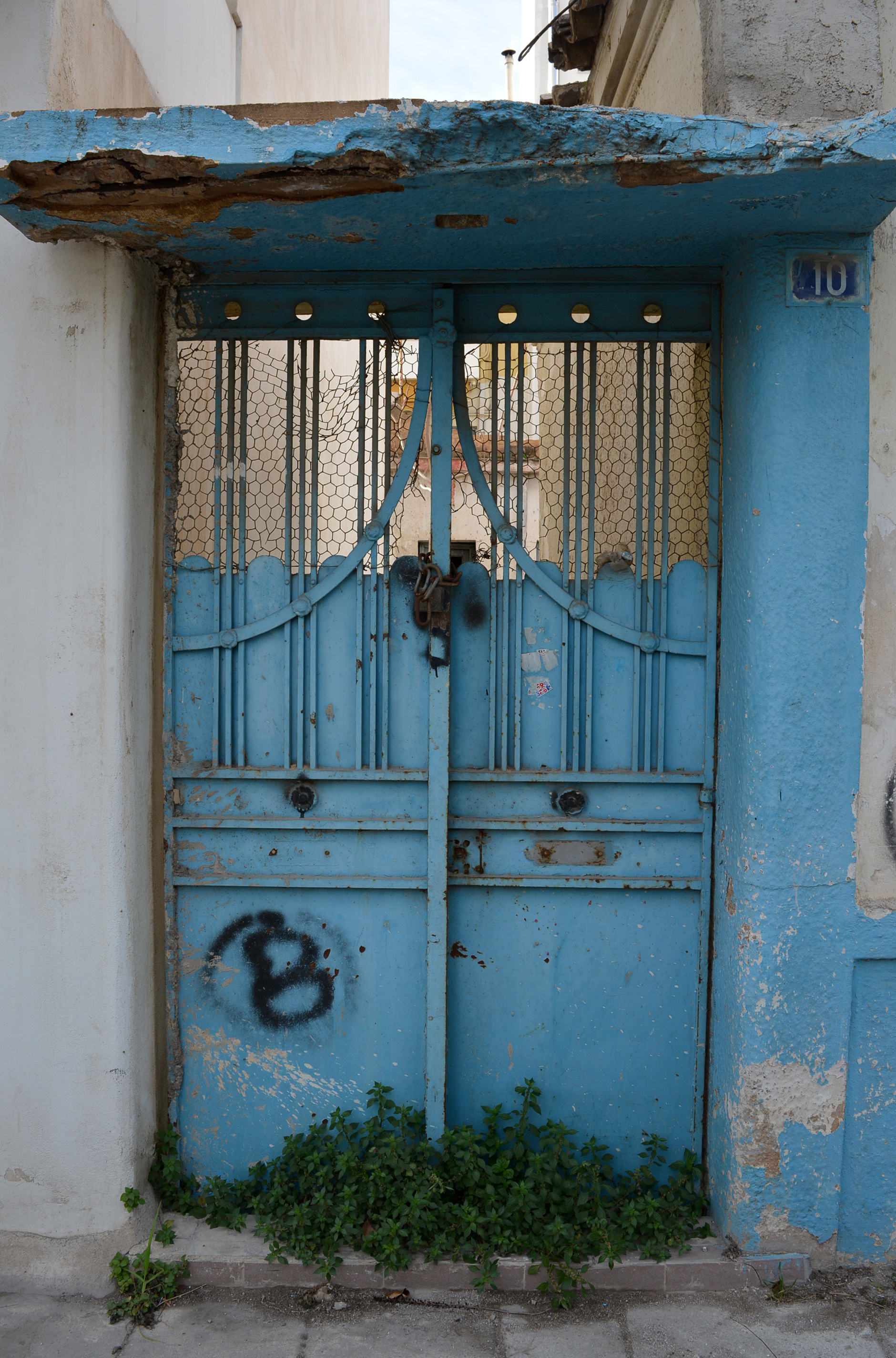 View of the yard door