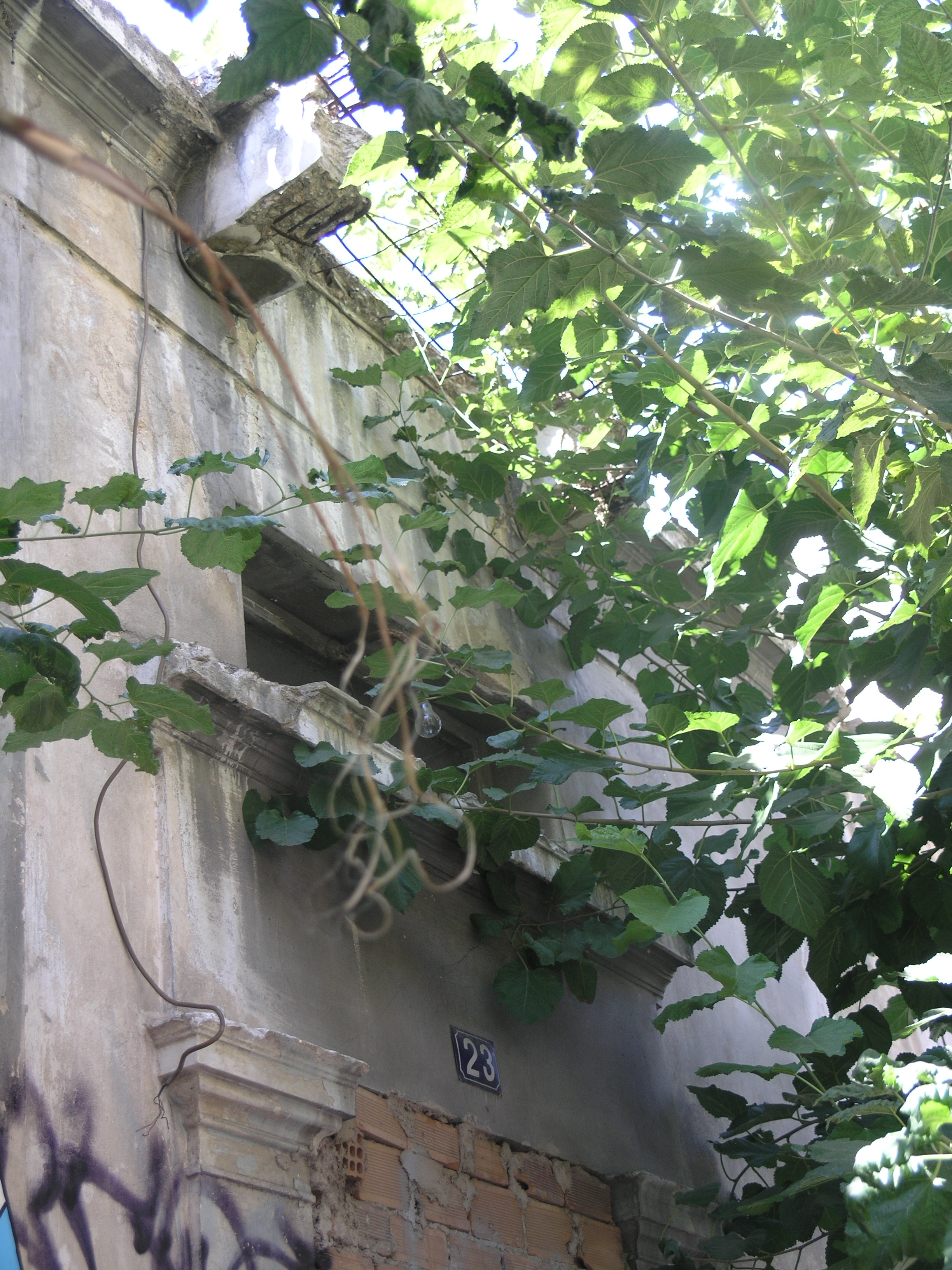 Λεπτομέρεια κύριας όψης