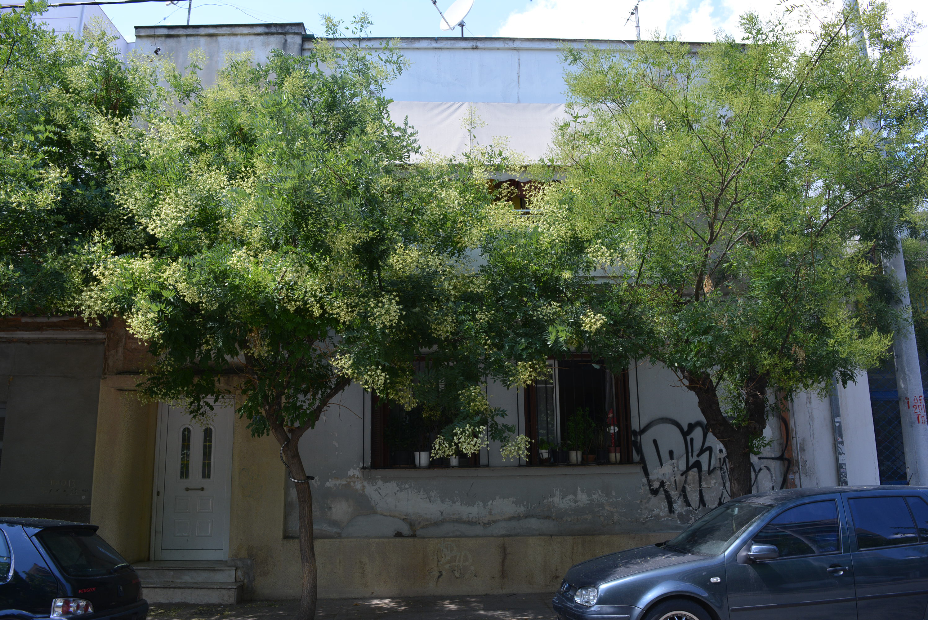 View of the main facade