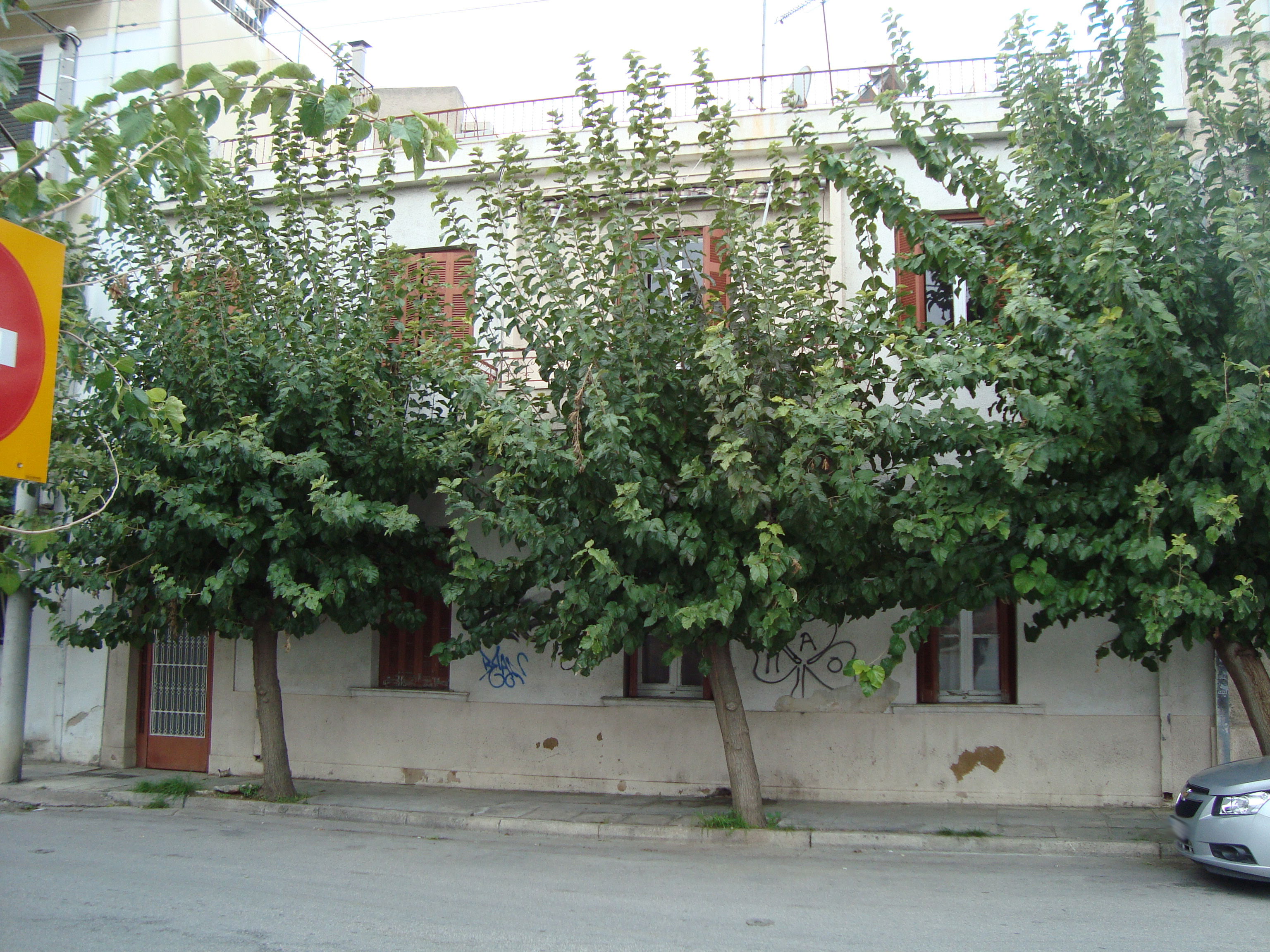 General view of main facade (2015)