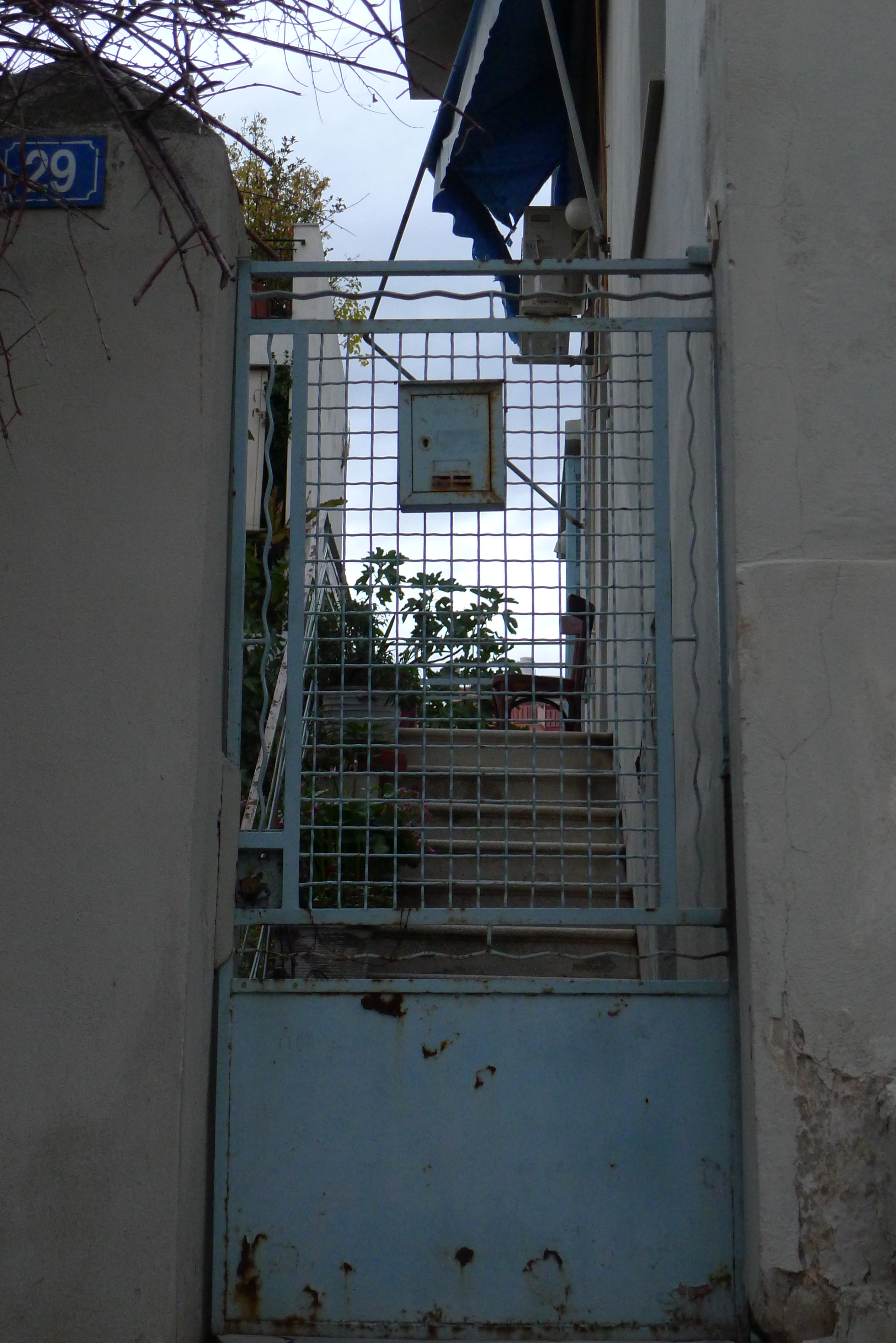 Γενική αυλόθυρας
