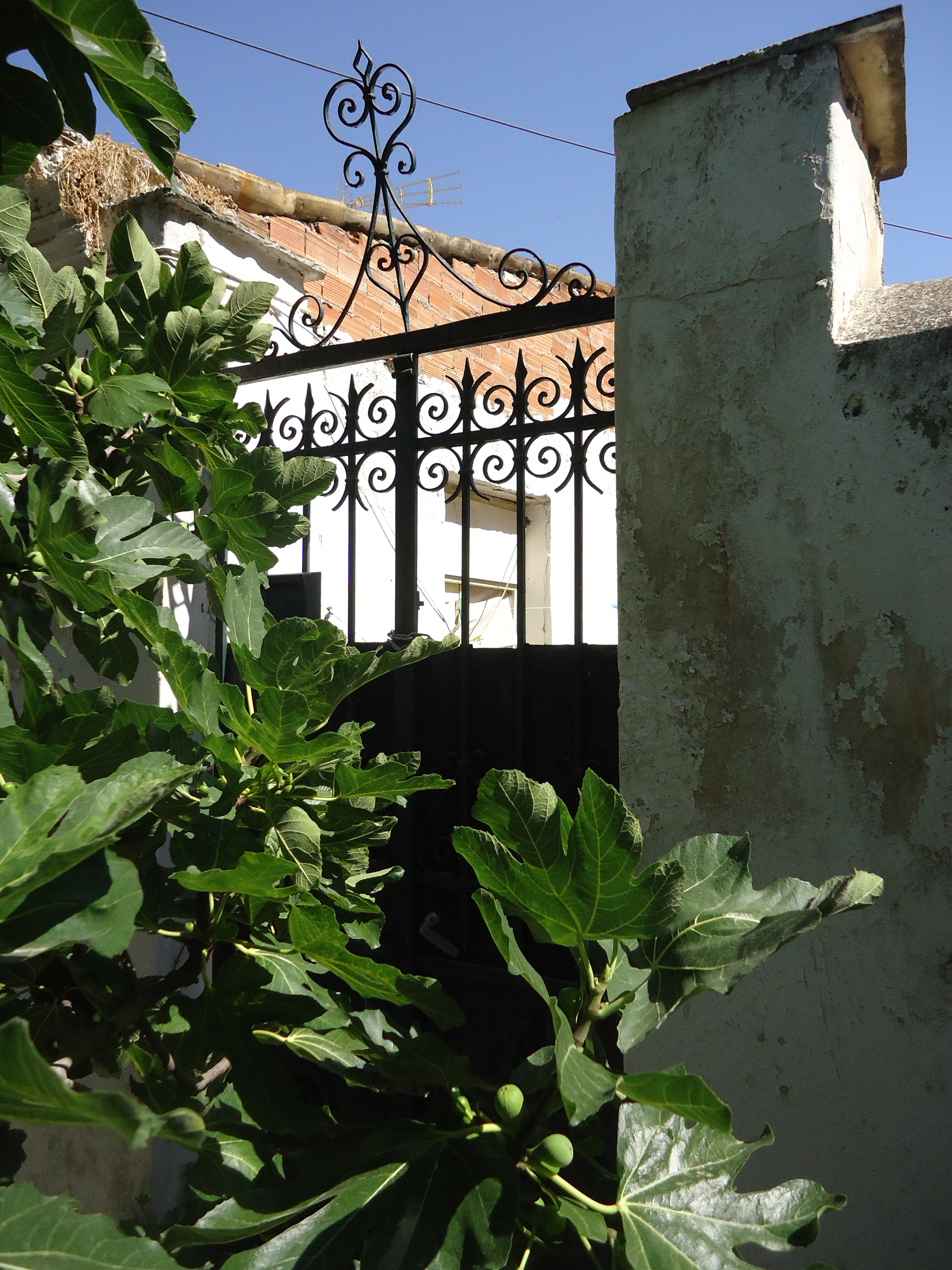 Yard gate