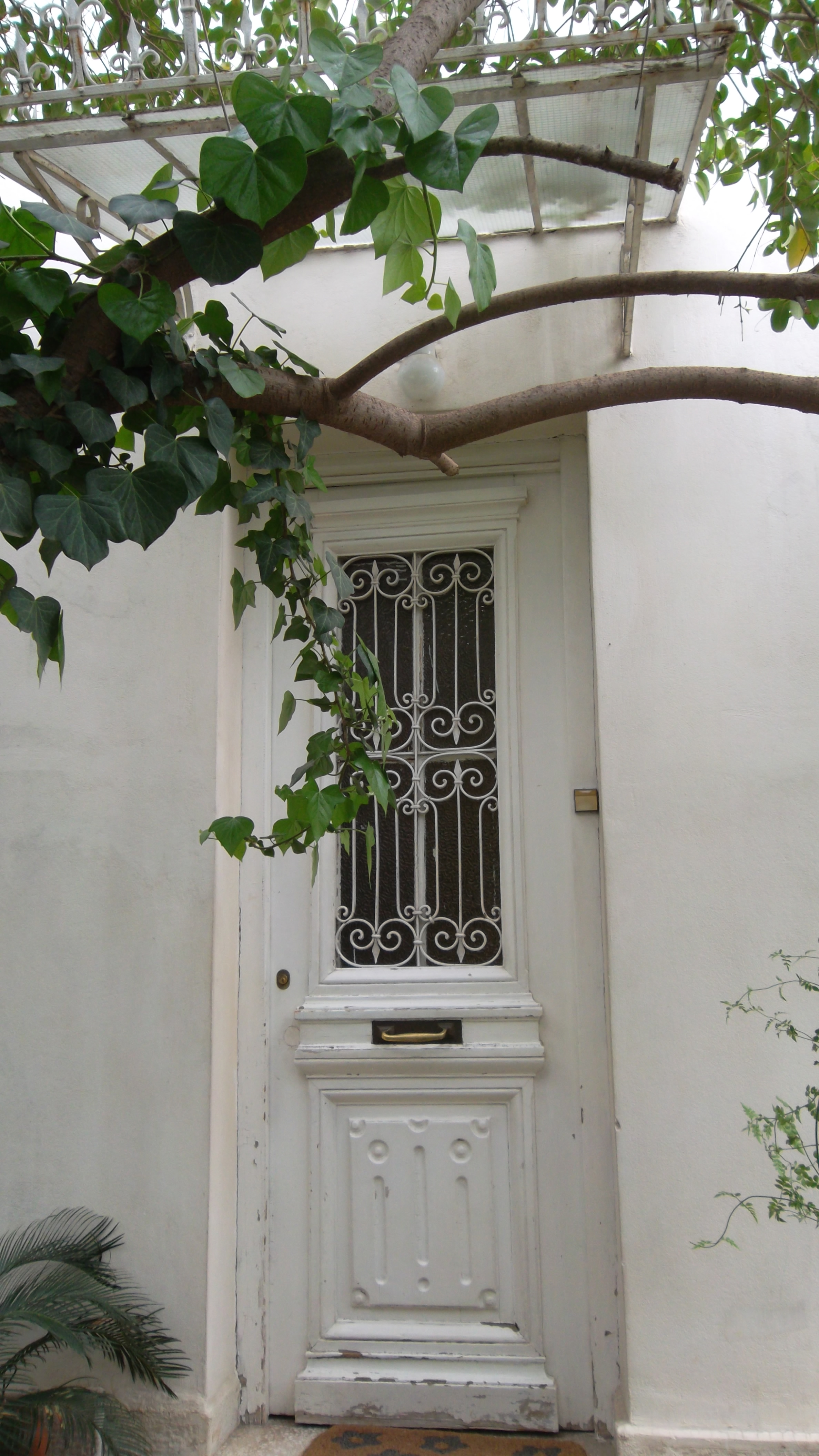 Wooden entrance door