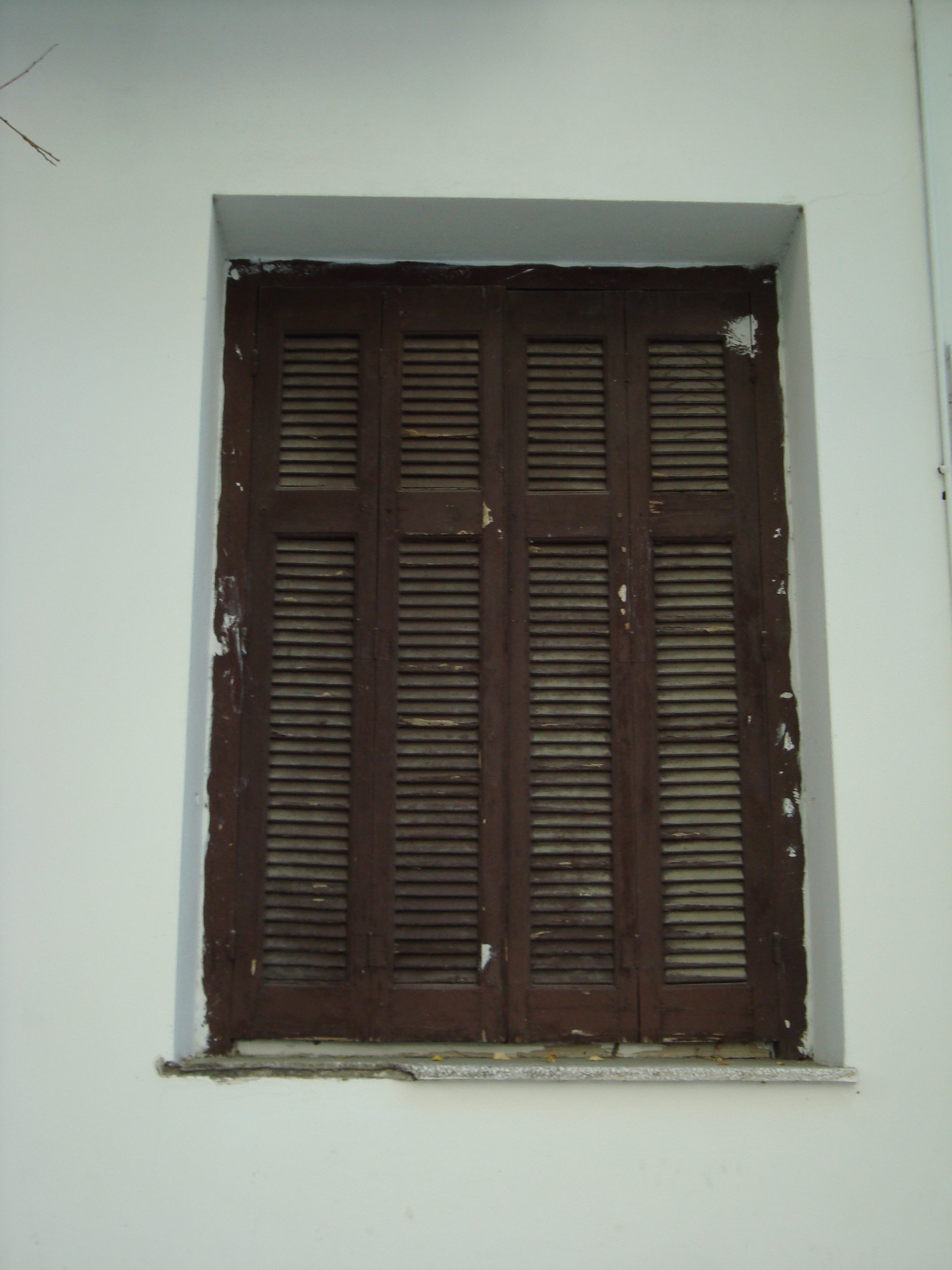 Window