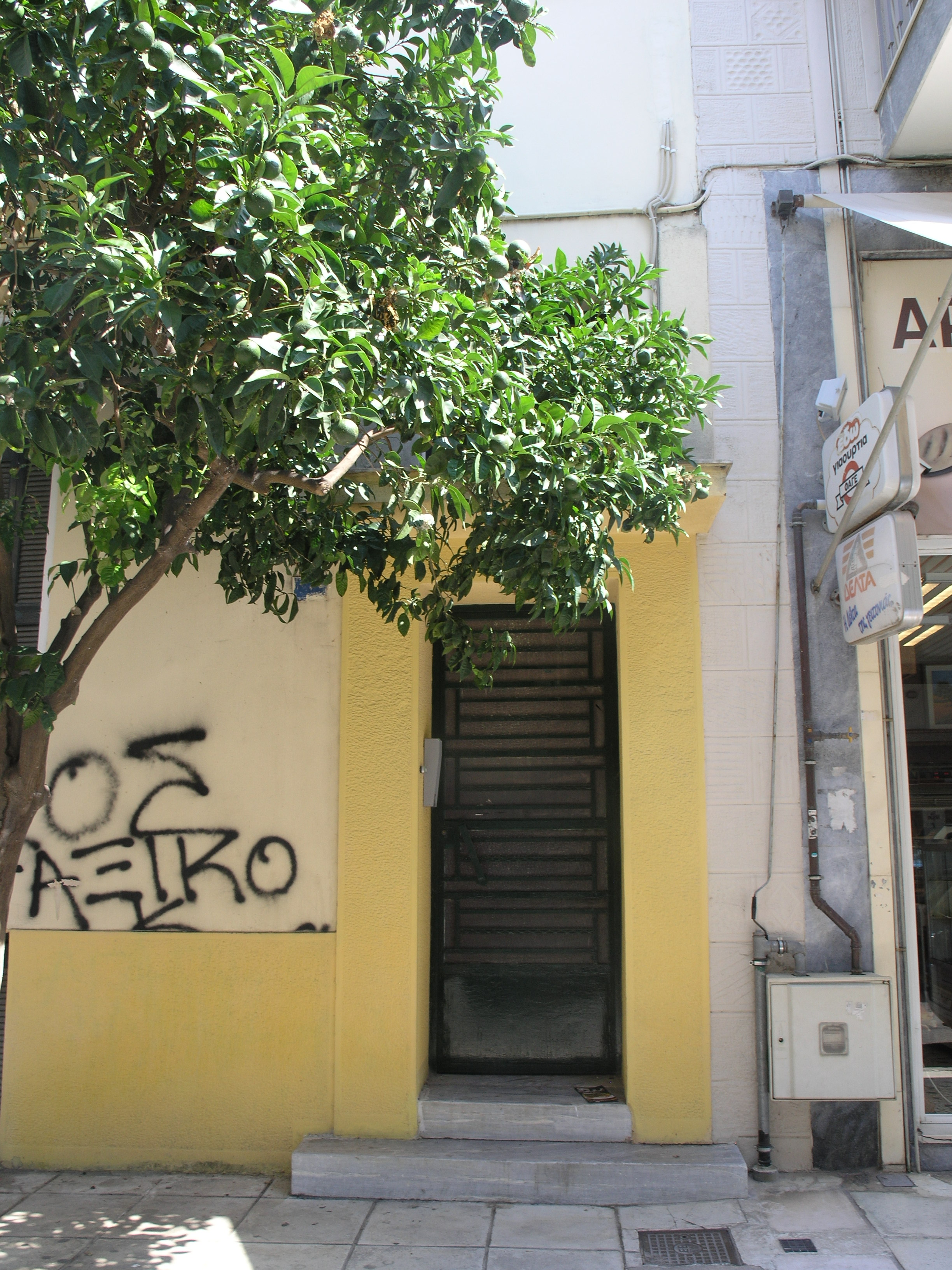 Γενική κεντρικής εισόδου