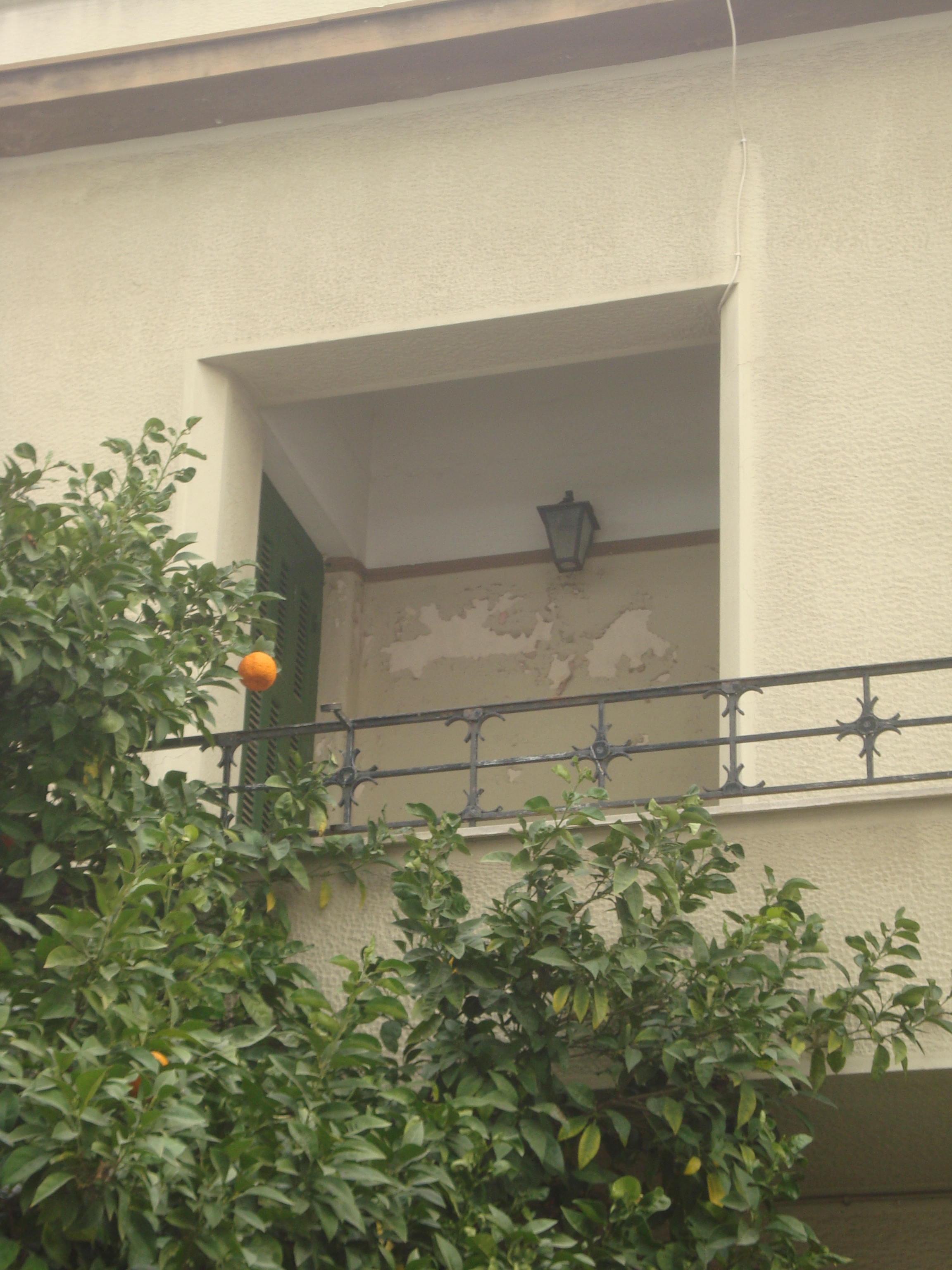 Λεπτομέρεια όψης