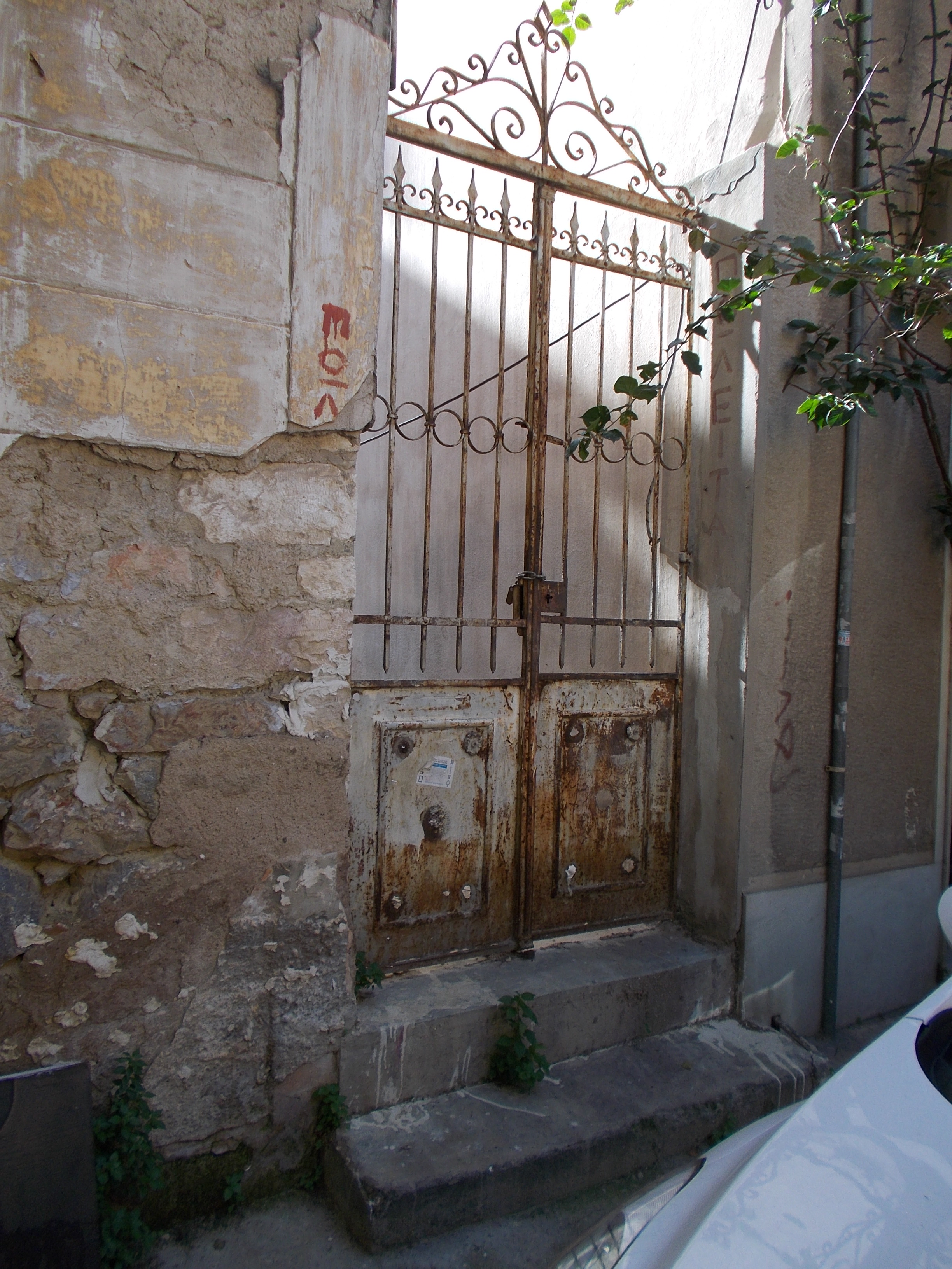 Γενική αυλόθυρας