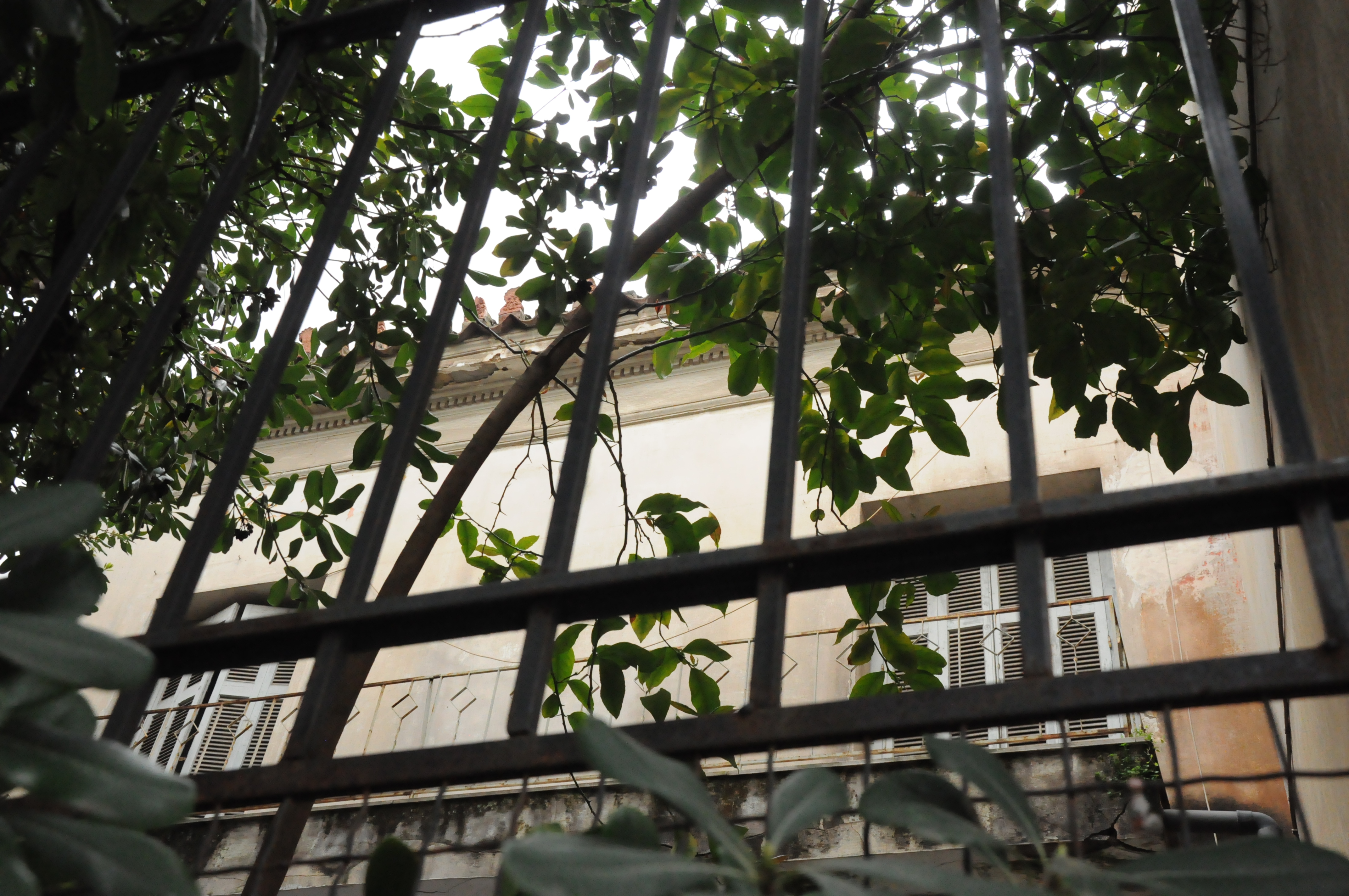 Λεπτομέρεια κύριας όψης