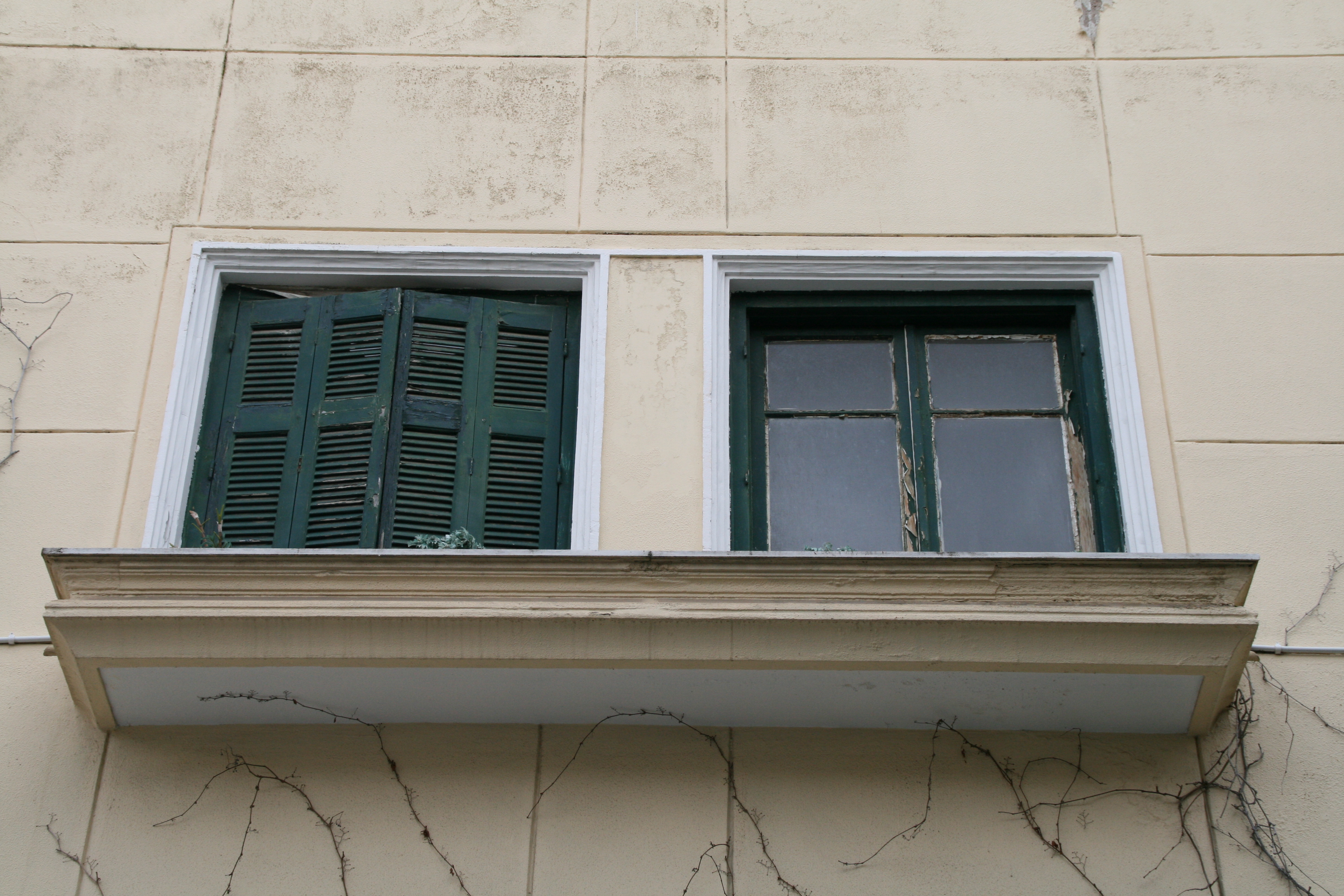 Windows of first floor (2014)