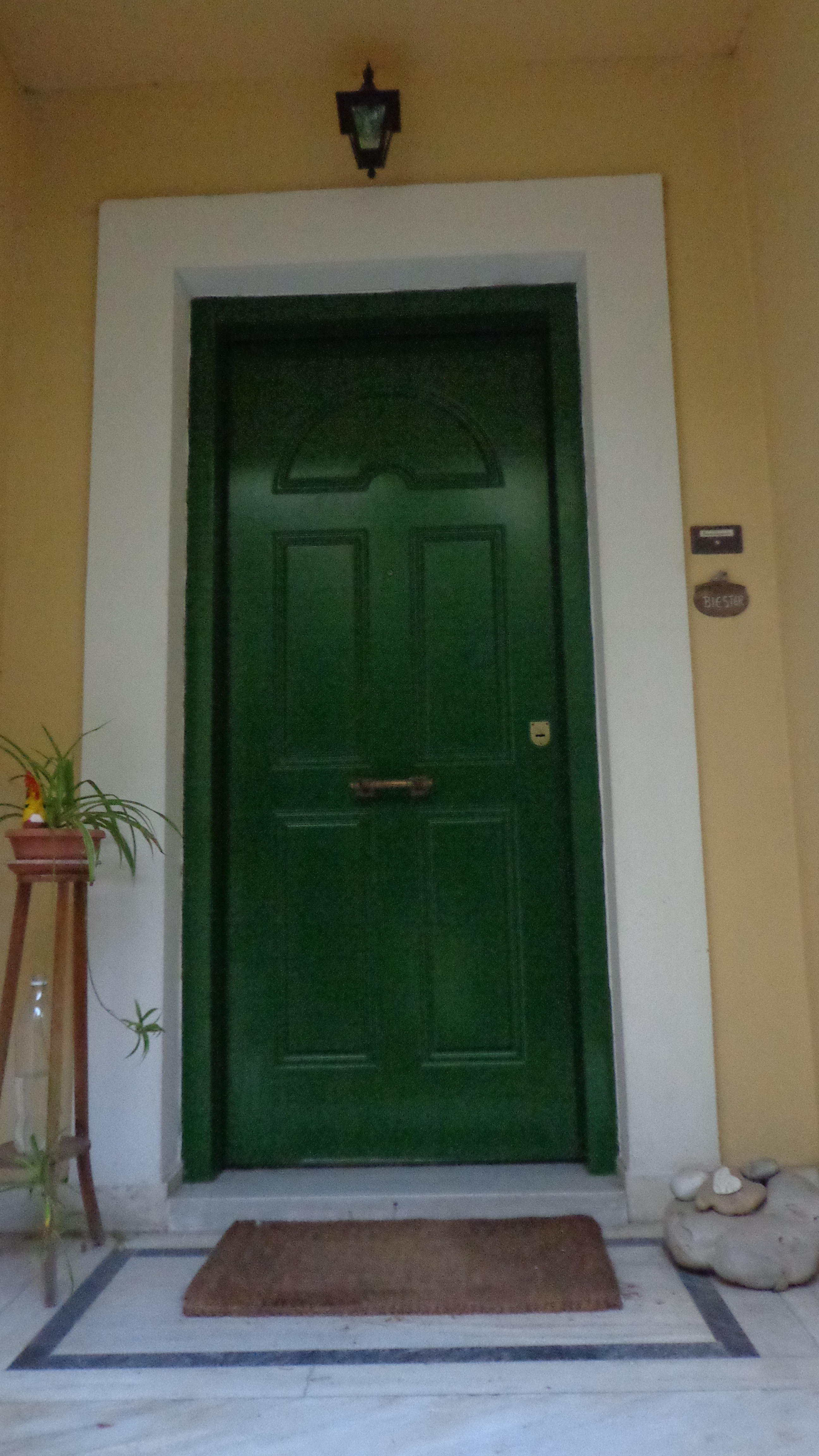 Entrance door