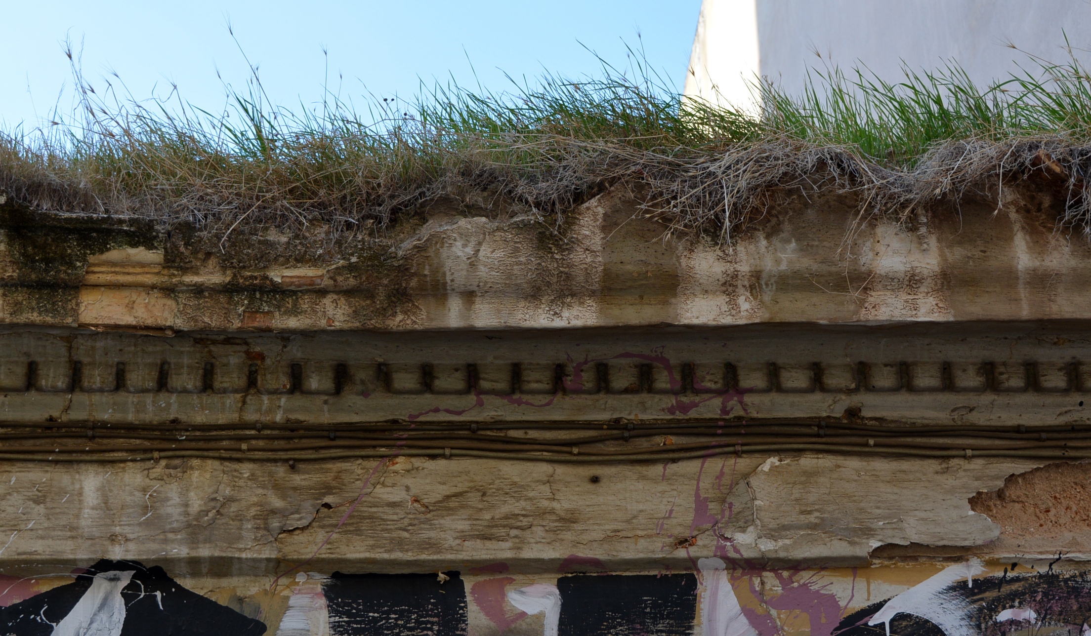 Detail of roof