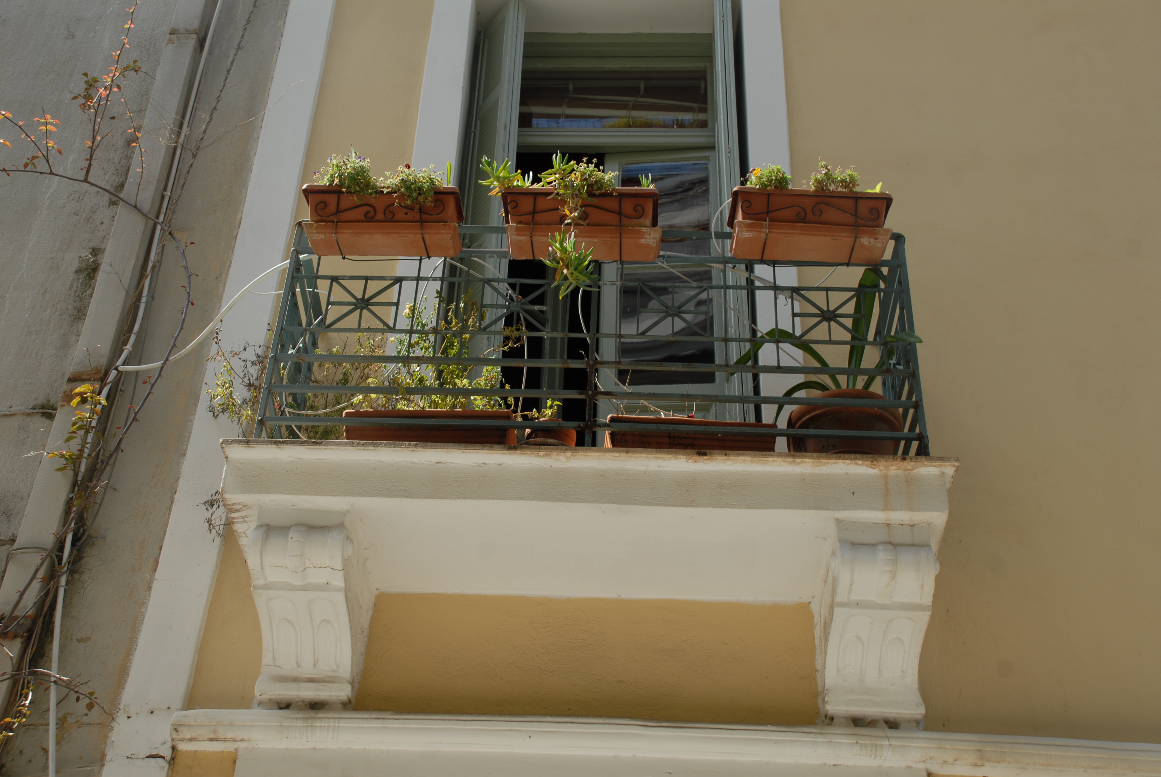 Γενική εξώστη
