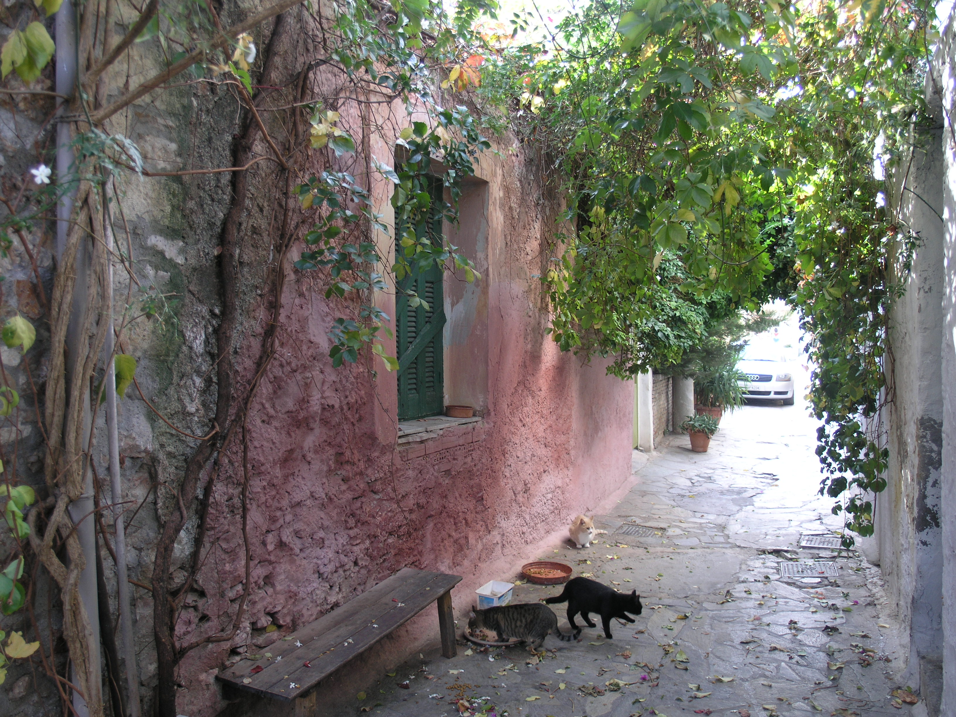 Γενική όψης επί της οδού Μυρωνίδου