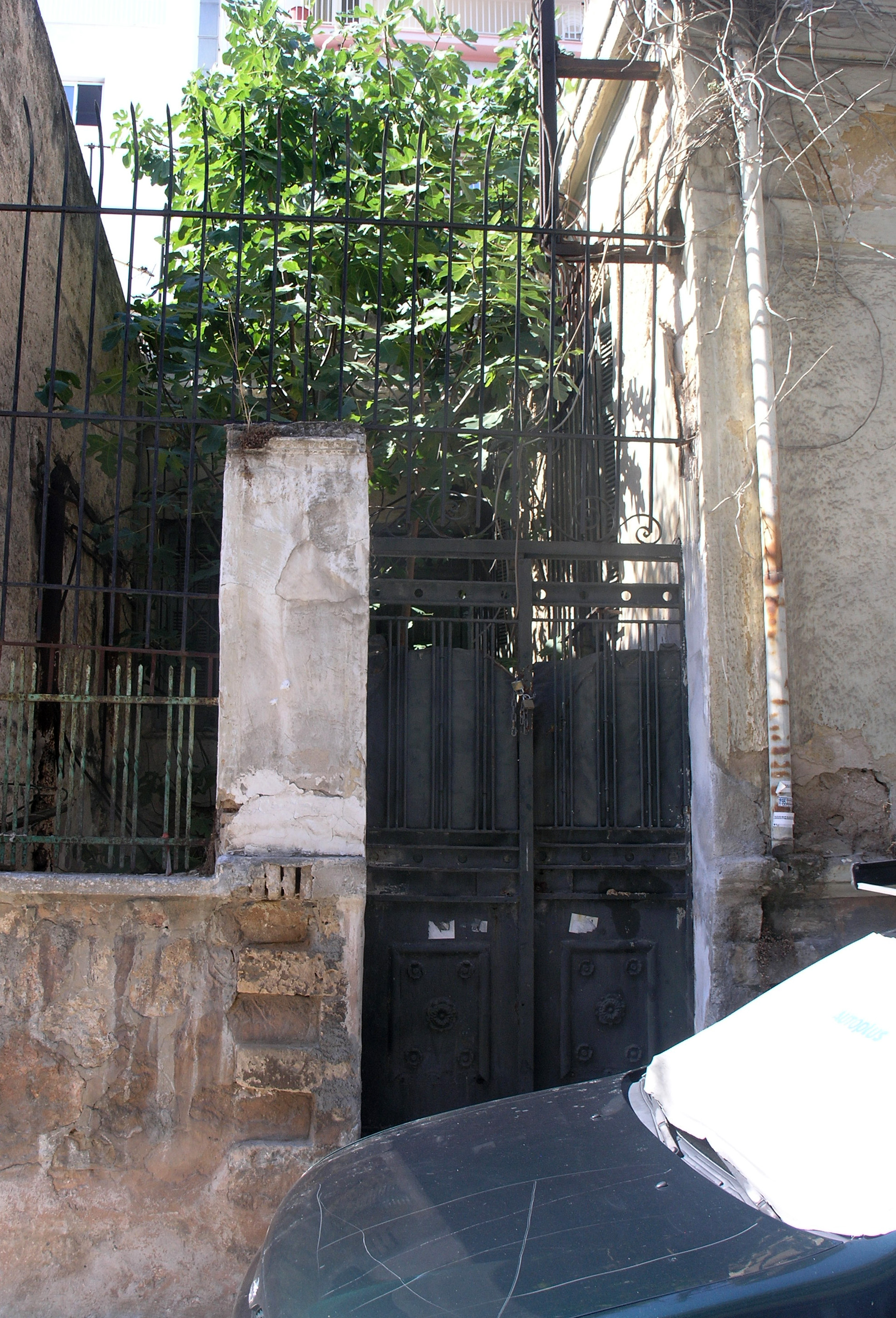 Γενική αυλόθυρας