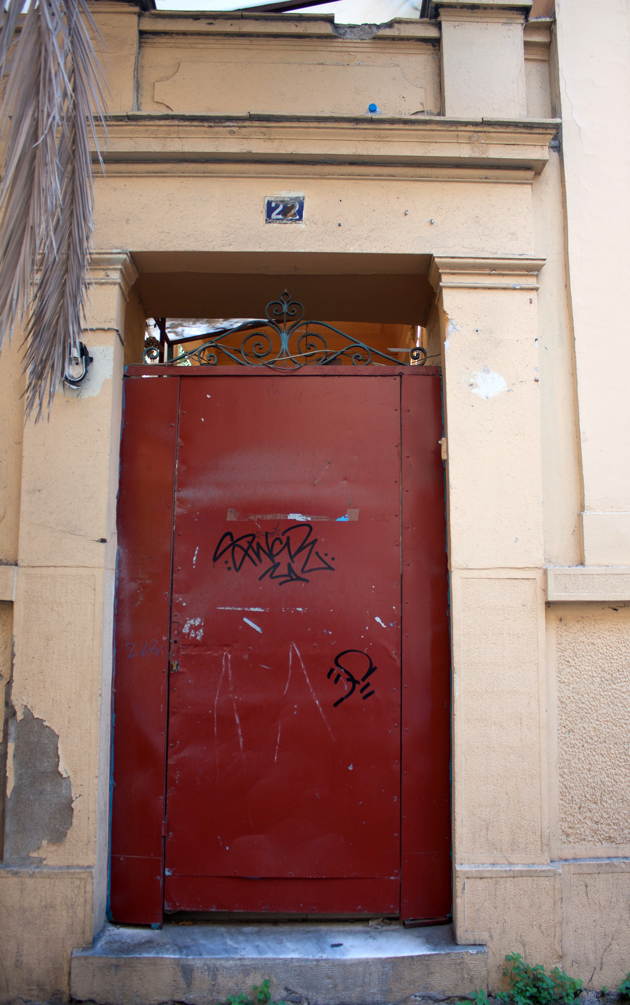 View of the yard door