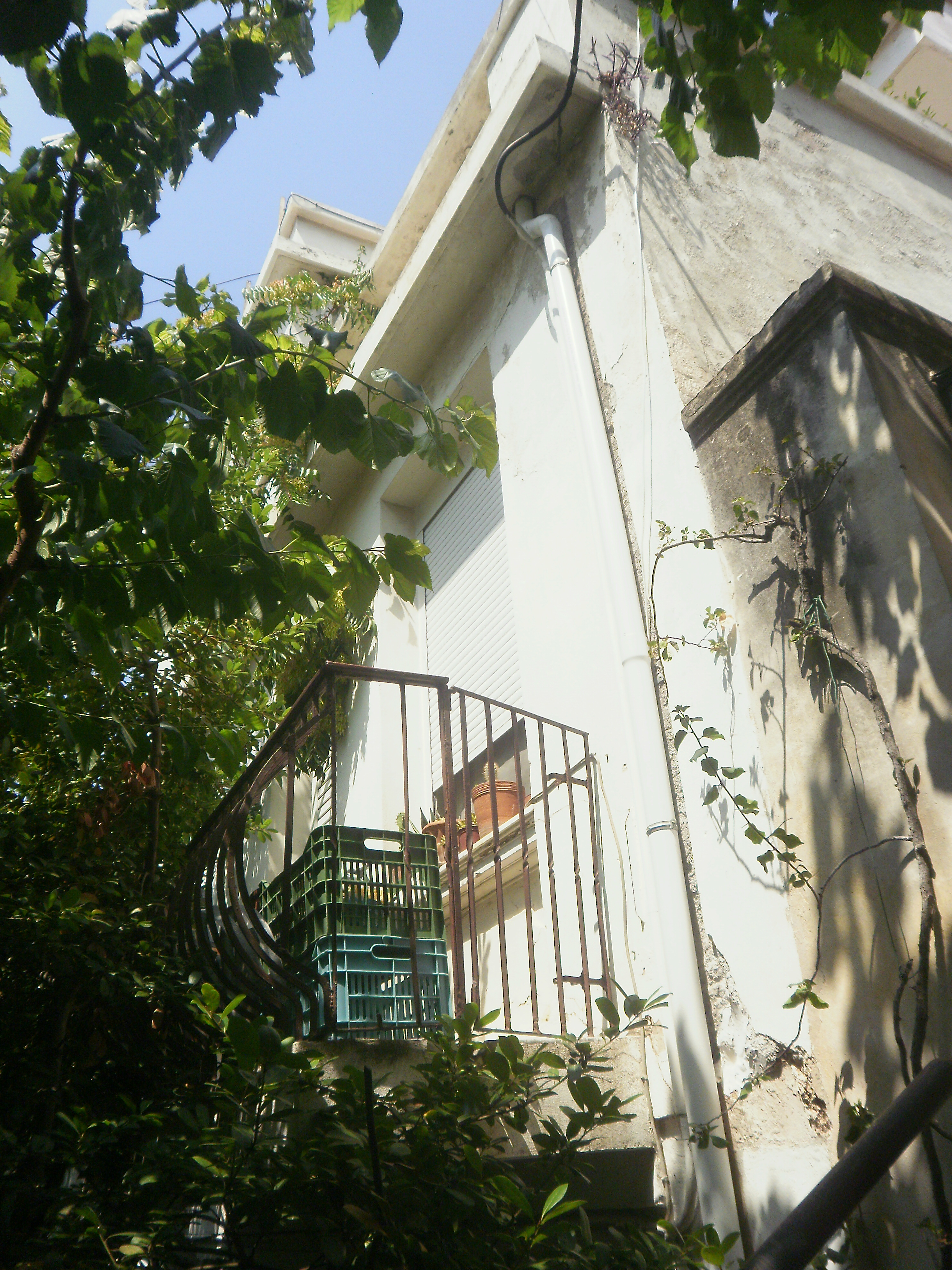 Λεπτομέρεια όψης