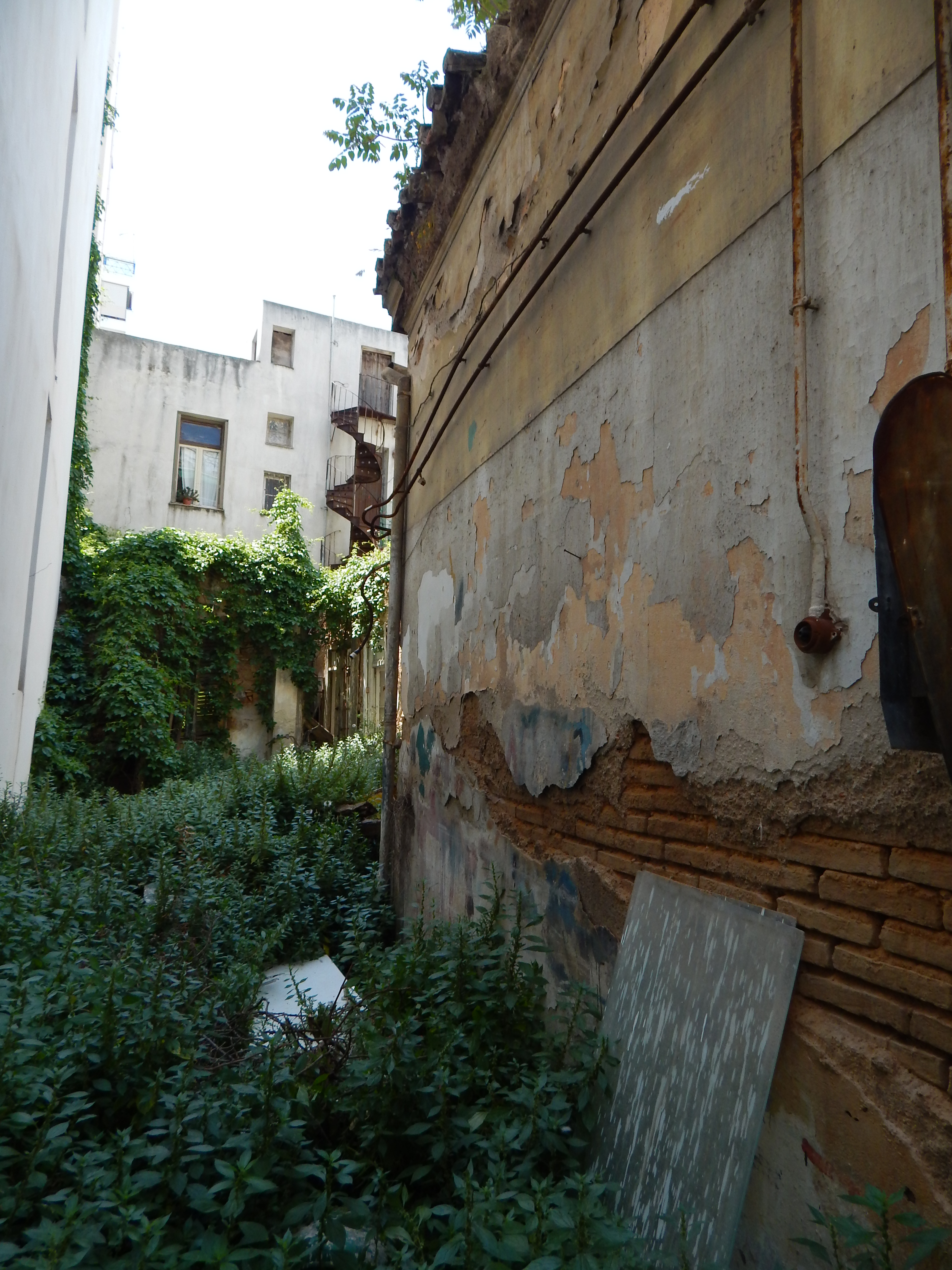 Γενική πλάγιας όψης
