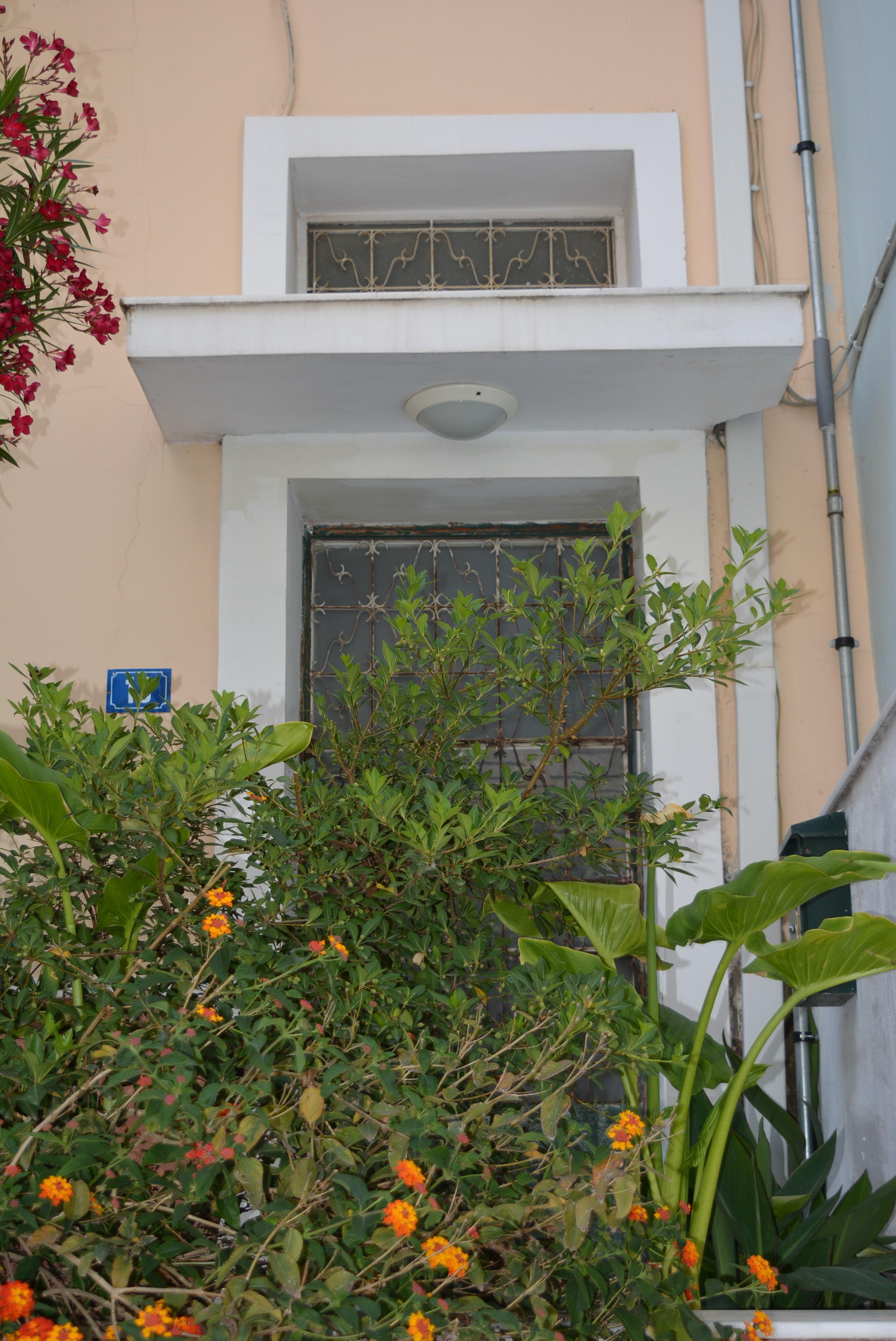 Γενική εισόδου