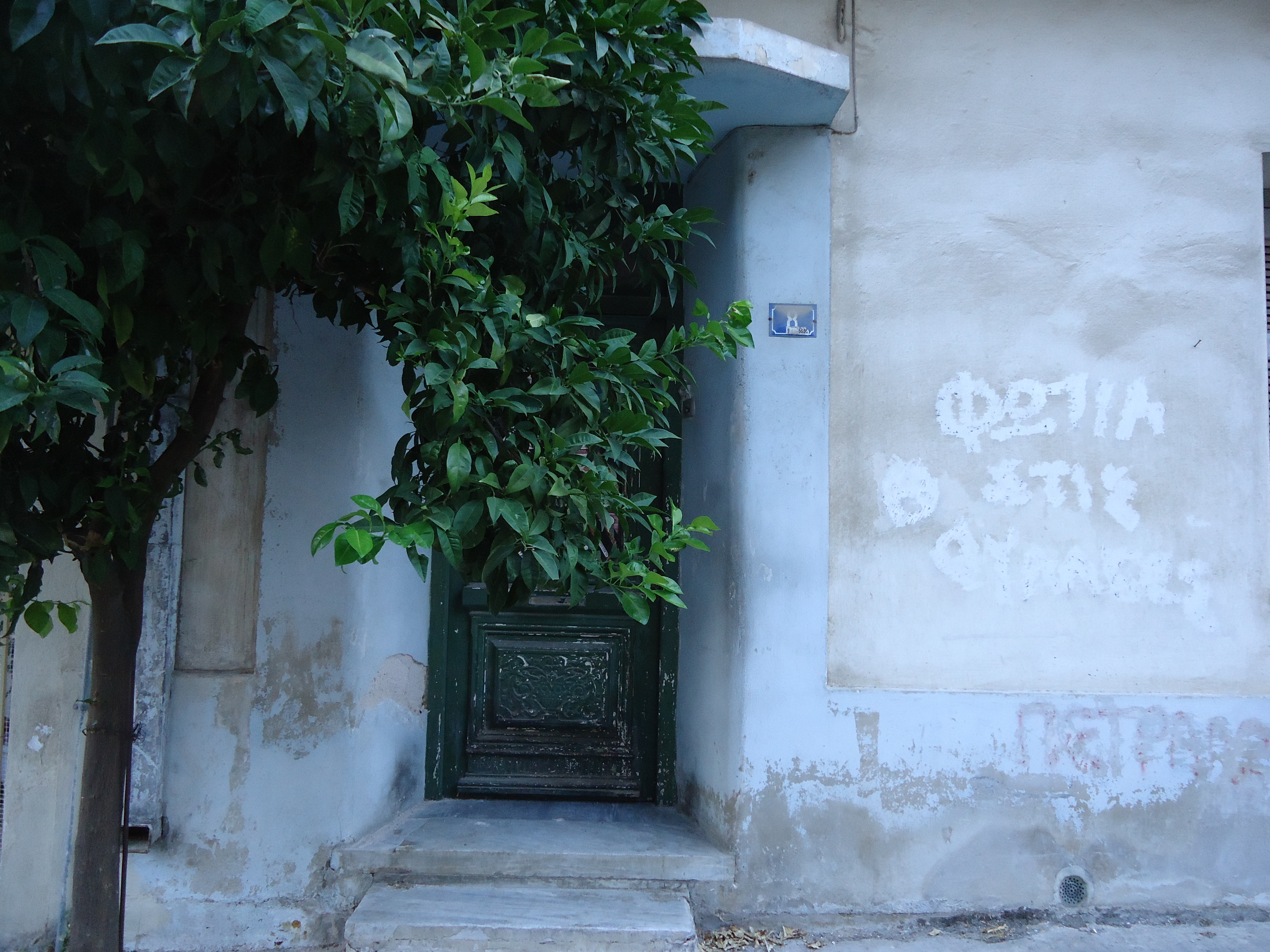 Γενική κεντρικής εισόδου