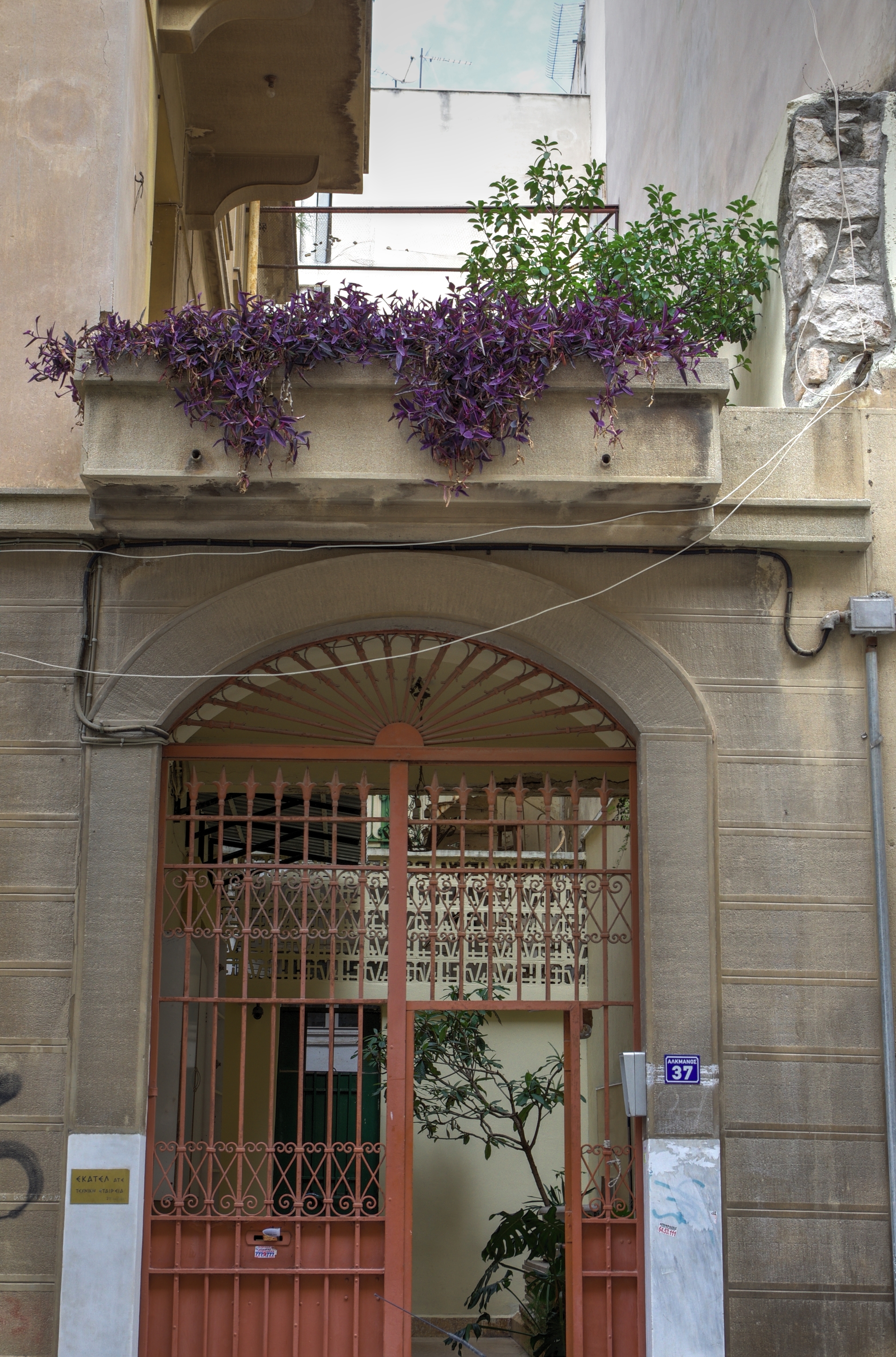 General view of yard door