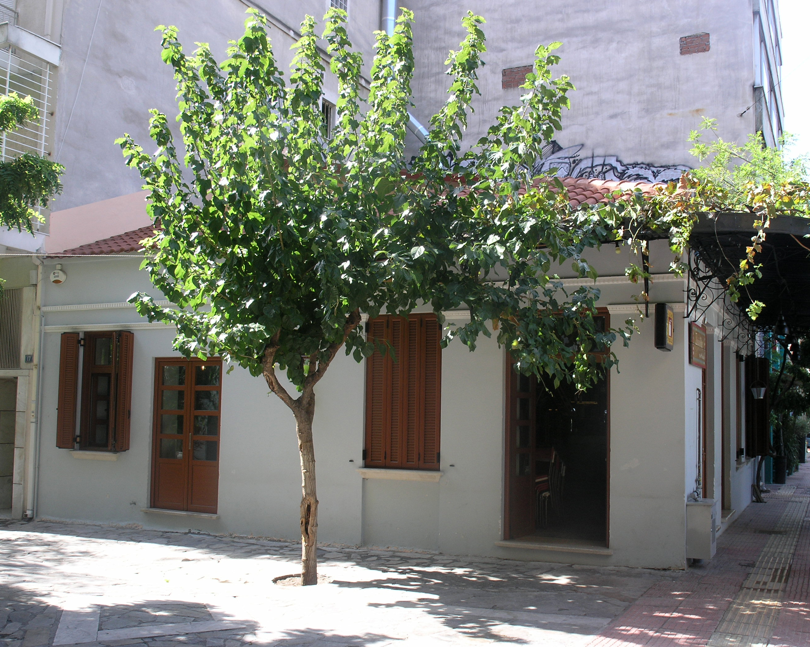 View of the façade on Akadimou street