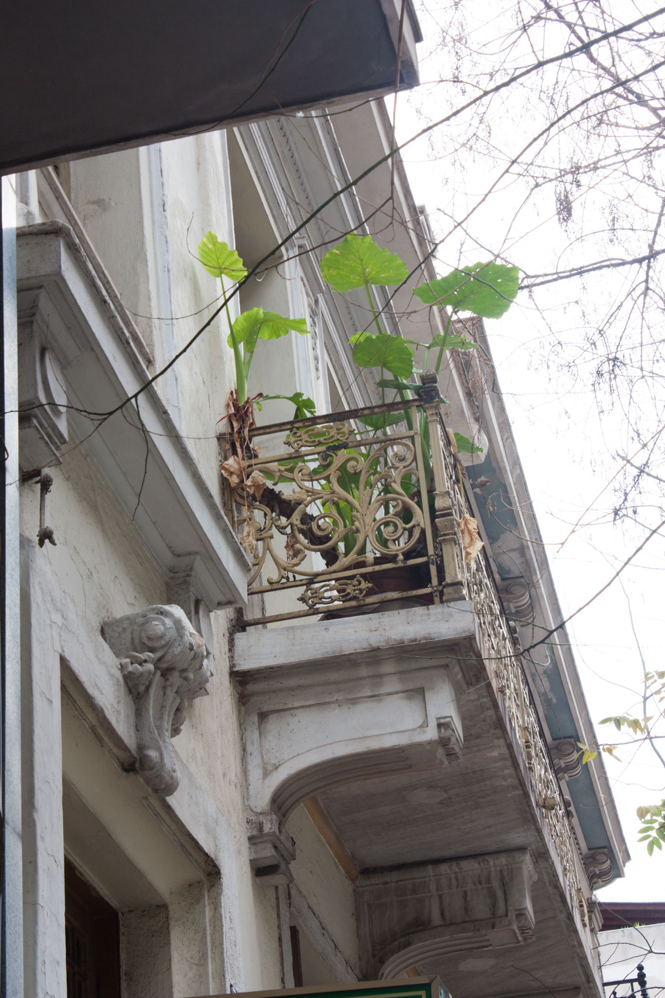 Λεπτομέρεια της κύριας όψης (2014)