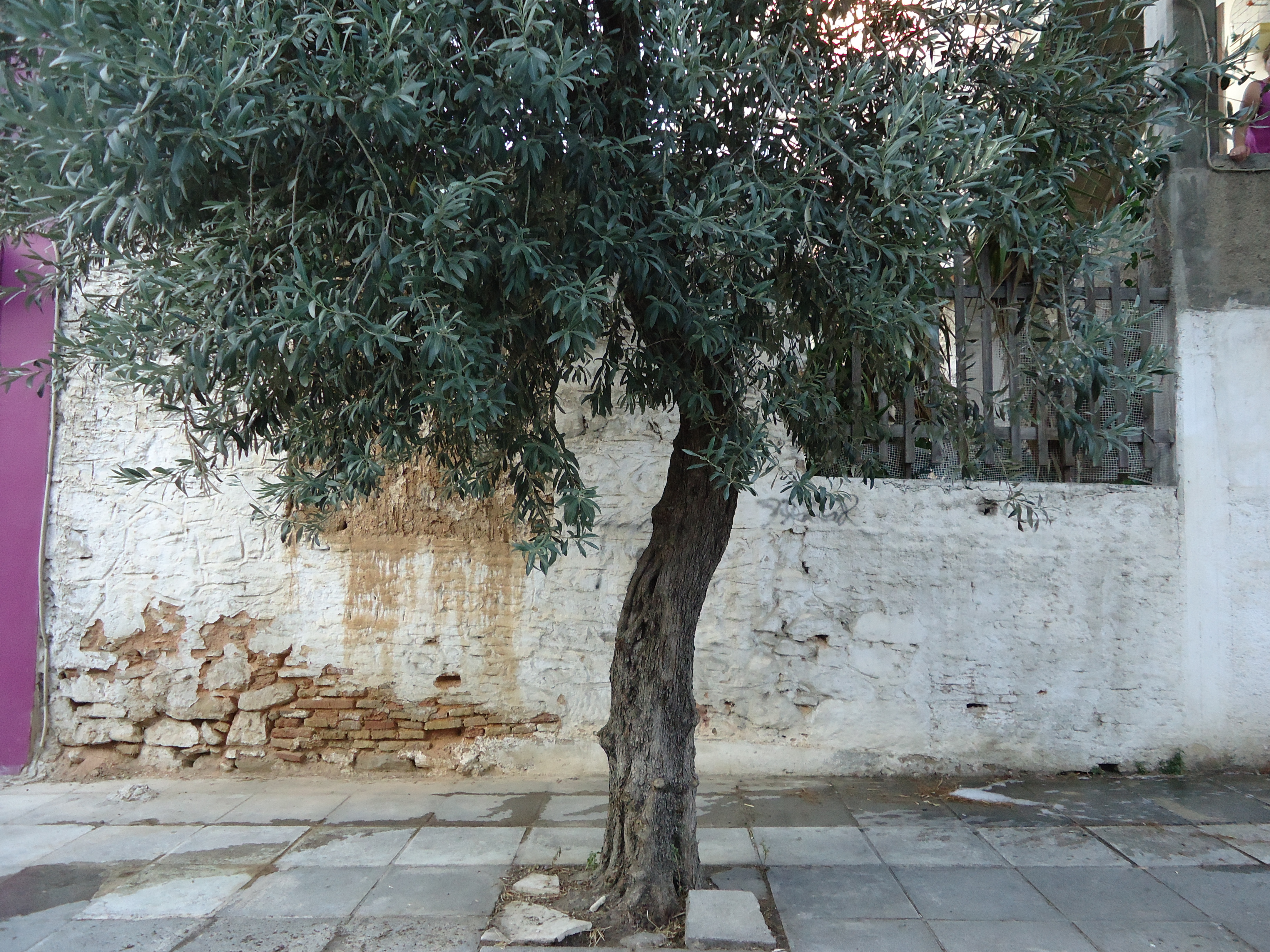 Γενική άποψη