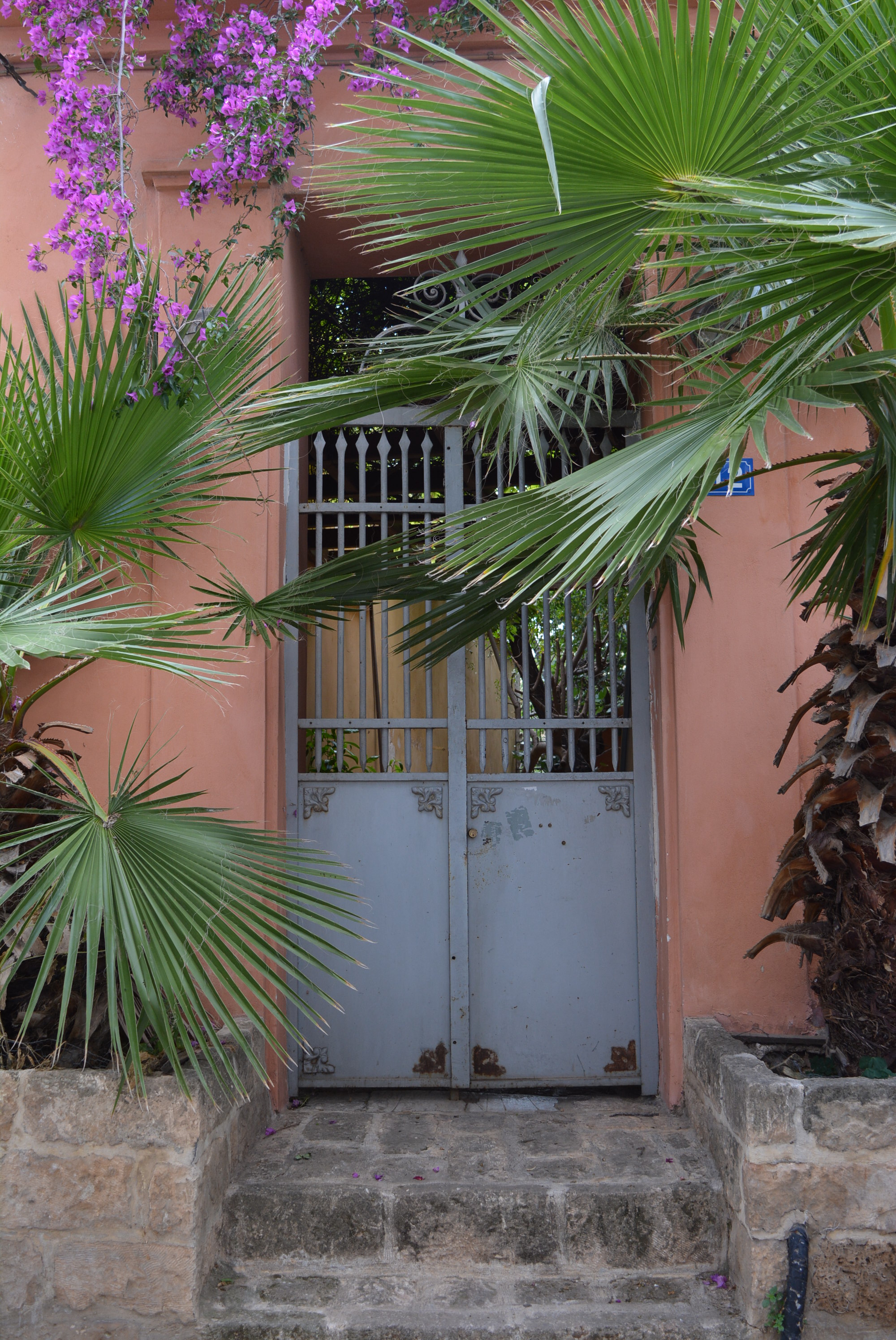 General view of yard's door