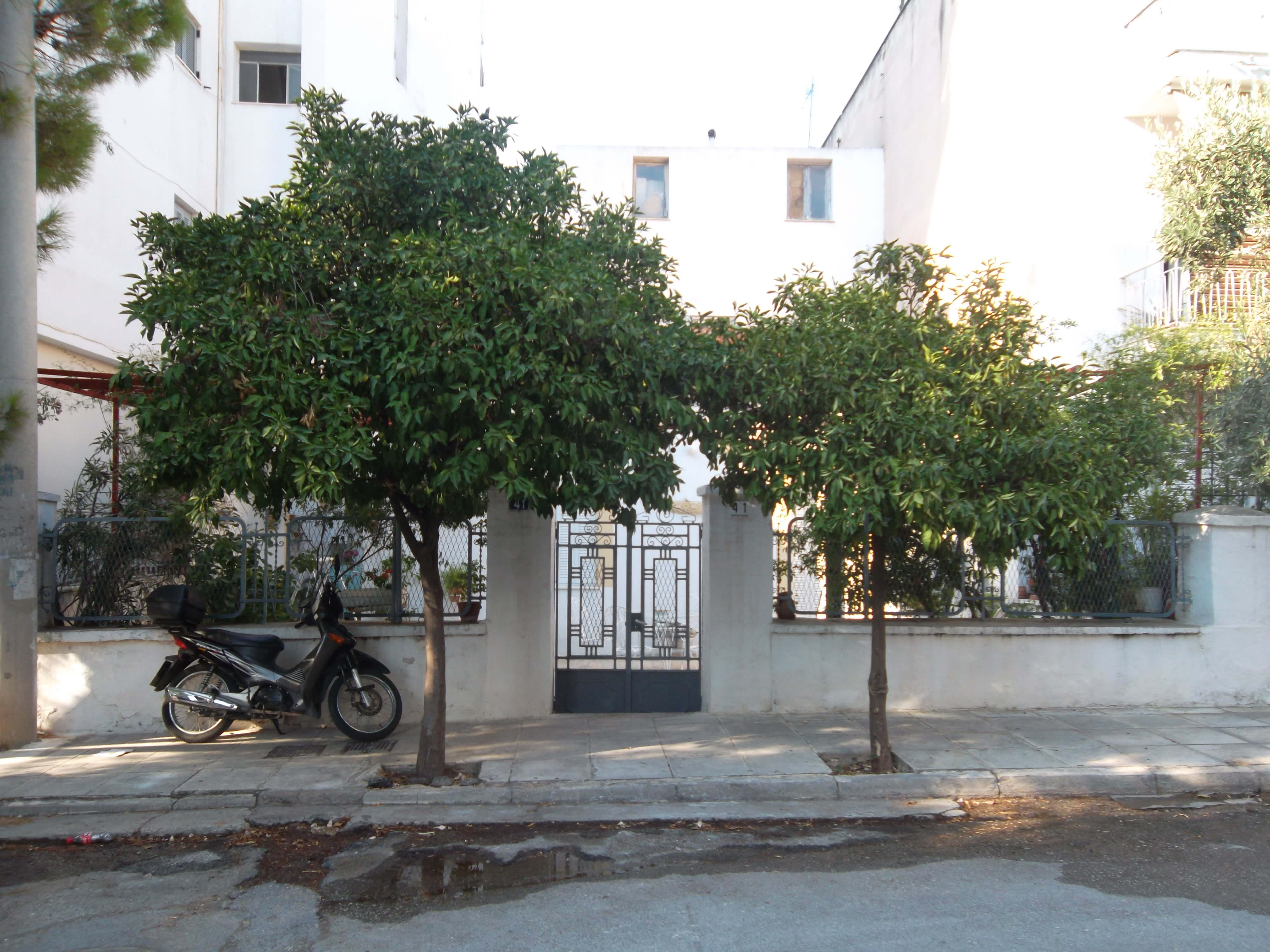 Γενική κύριας όψης