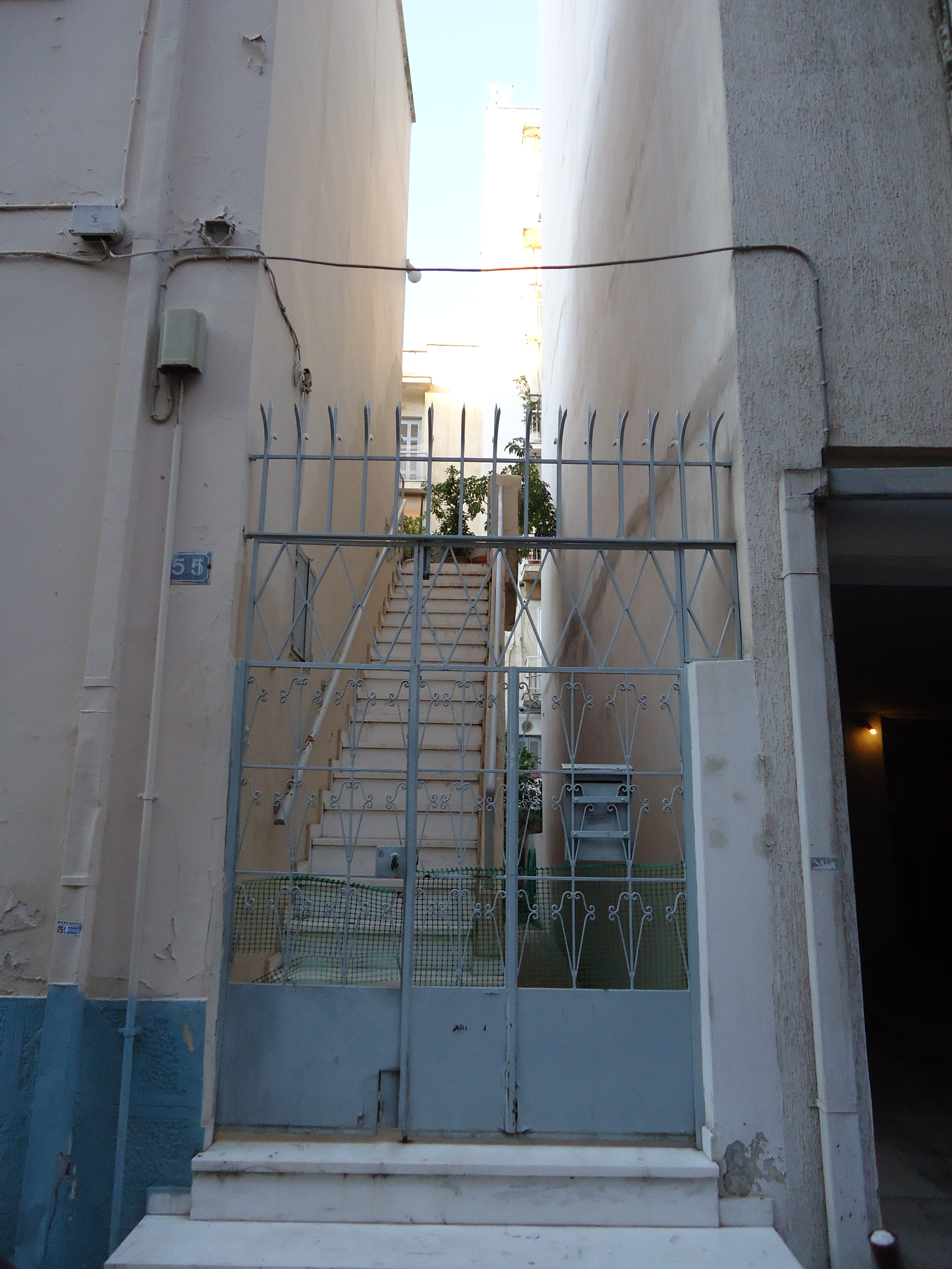 Γενική αυλόθυρας
