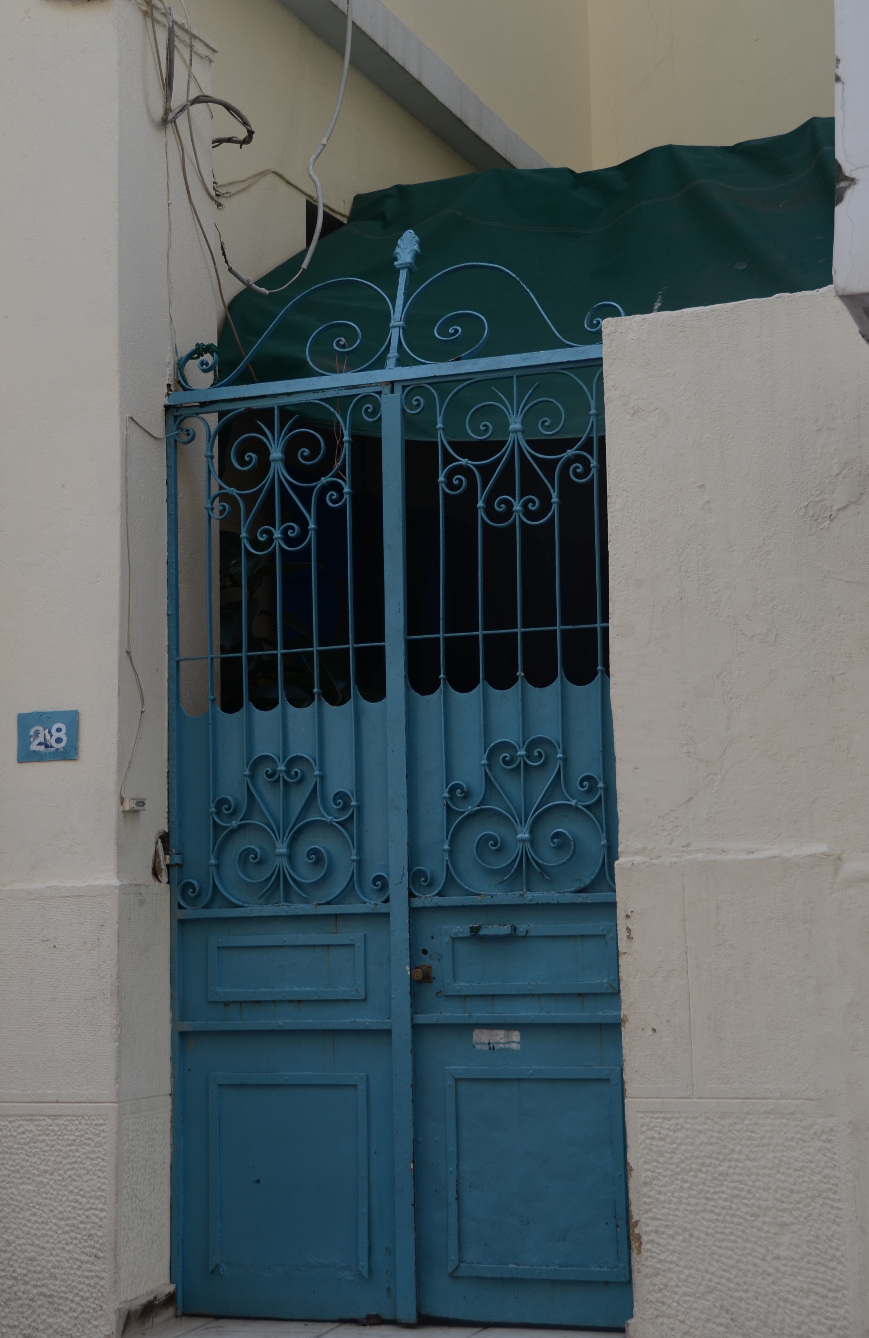 Γενική αυλόθυρας