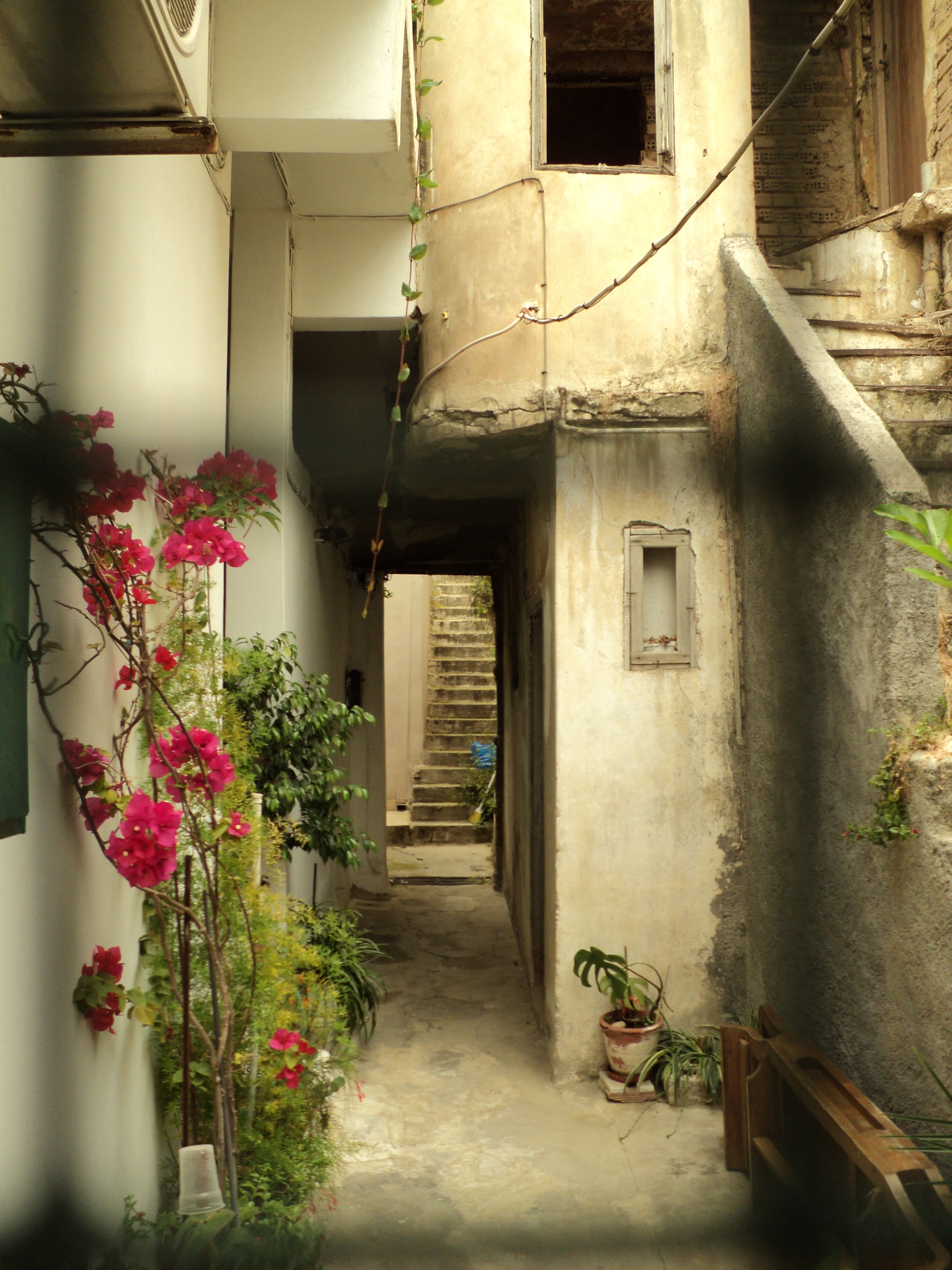 Inner yard