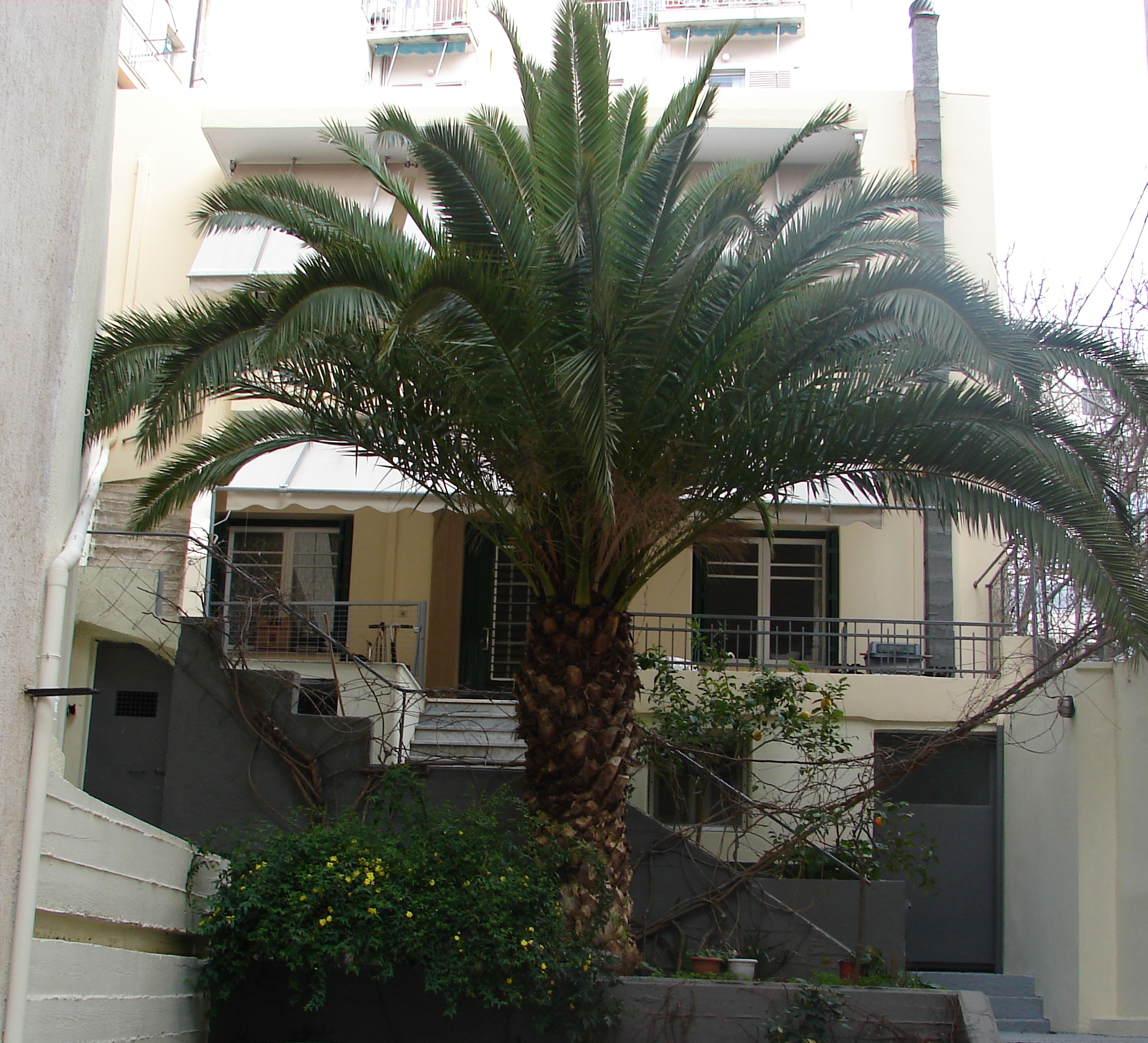 Γενική κύριας όψης